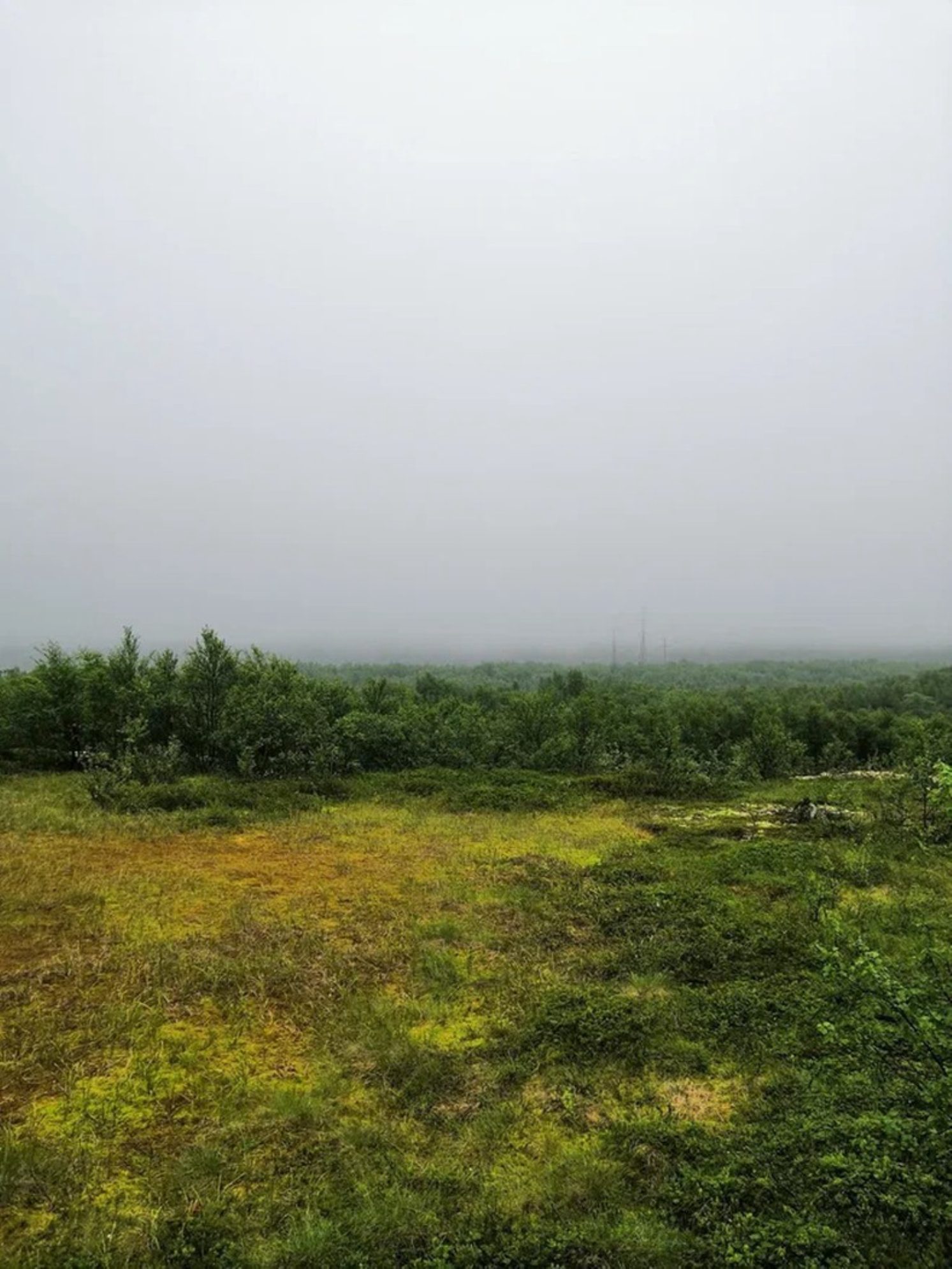 Вид с плато на окрестности. Автор фото: Андрей Афанасьев