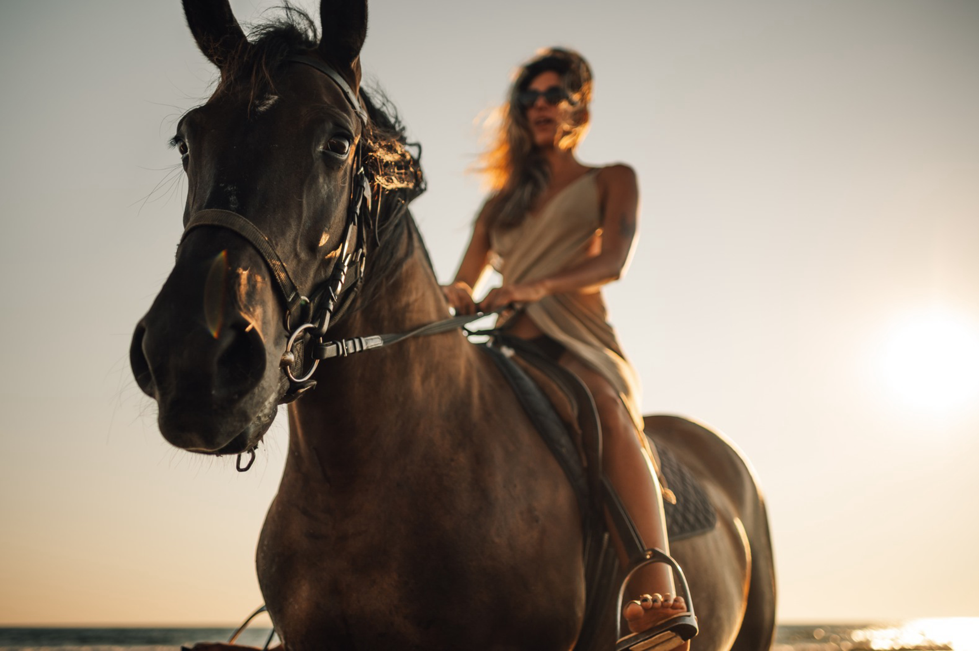 Любители лошадей могут отправиться на конную прогулку в Адлере.