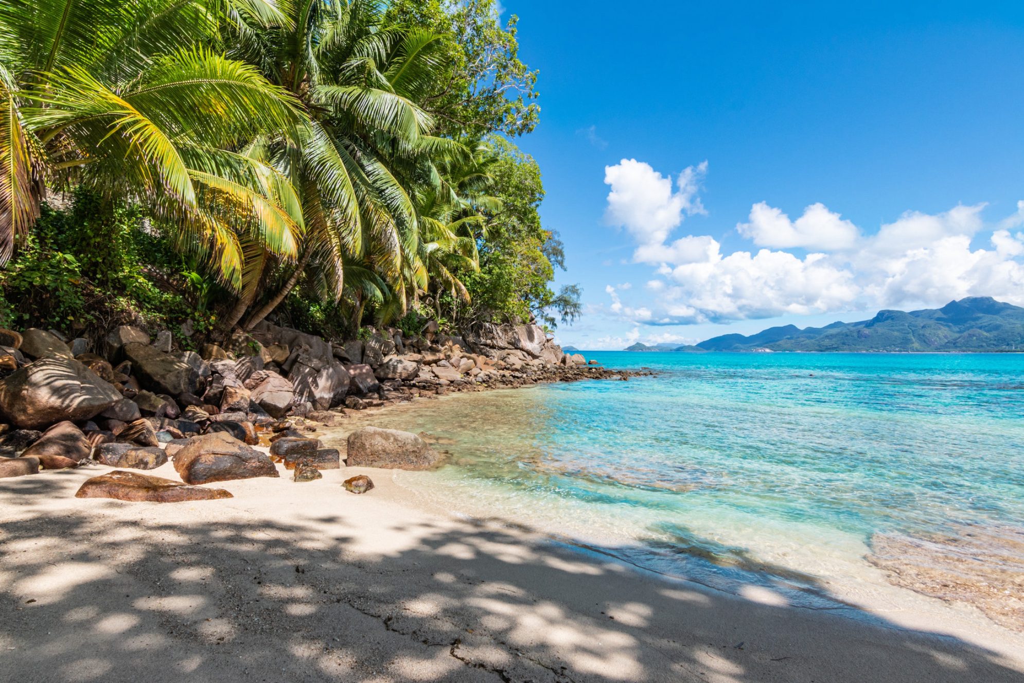 Тропический пляж с пальмами и скалами, остров Маэ, Сейшельские острова. Источник: Shutterstock