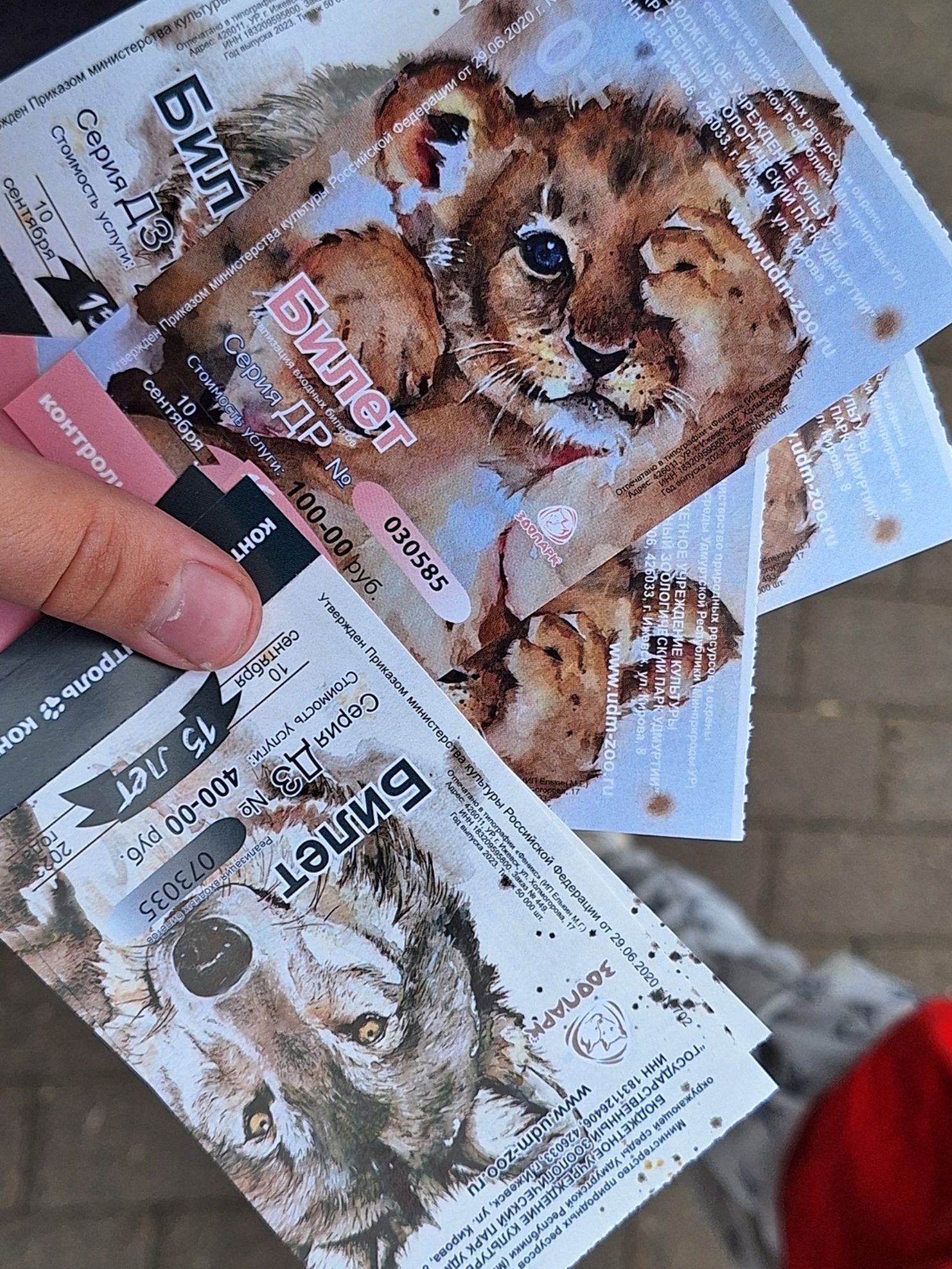 Входные билеты в зоопарк. Автор фото: Ирина Дорофеева