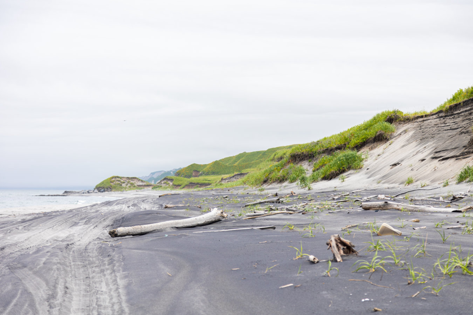 Дикие пляжи Сахалина преимущественно галечные или вулканические с темным песком. Источник фото: Shutterstock