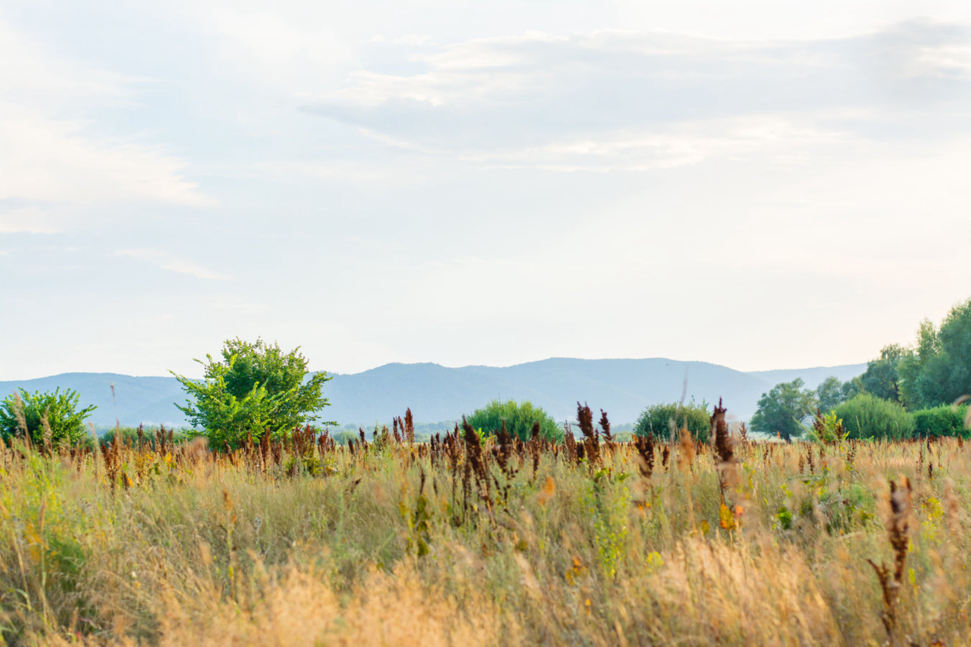 Красивые виды на Жигулевские горы. shutterstock.com