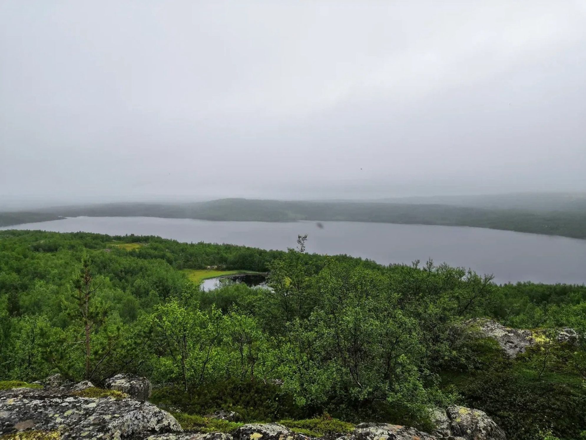 Фотография не передает разницу высот между местом съемки и пространством перед ним – около 15-20 метров. Автор фото: Андрей Афанасьев