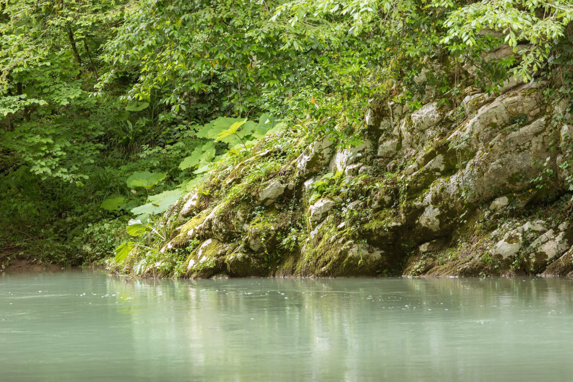 Лучшие пешие маршруты Сочи и Красной Поляны: горы, водопады, трекинг