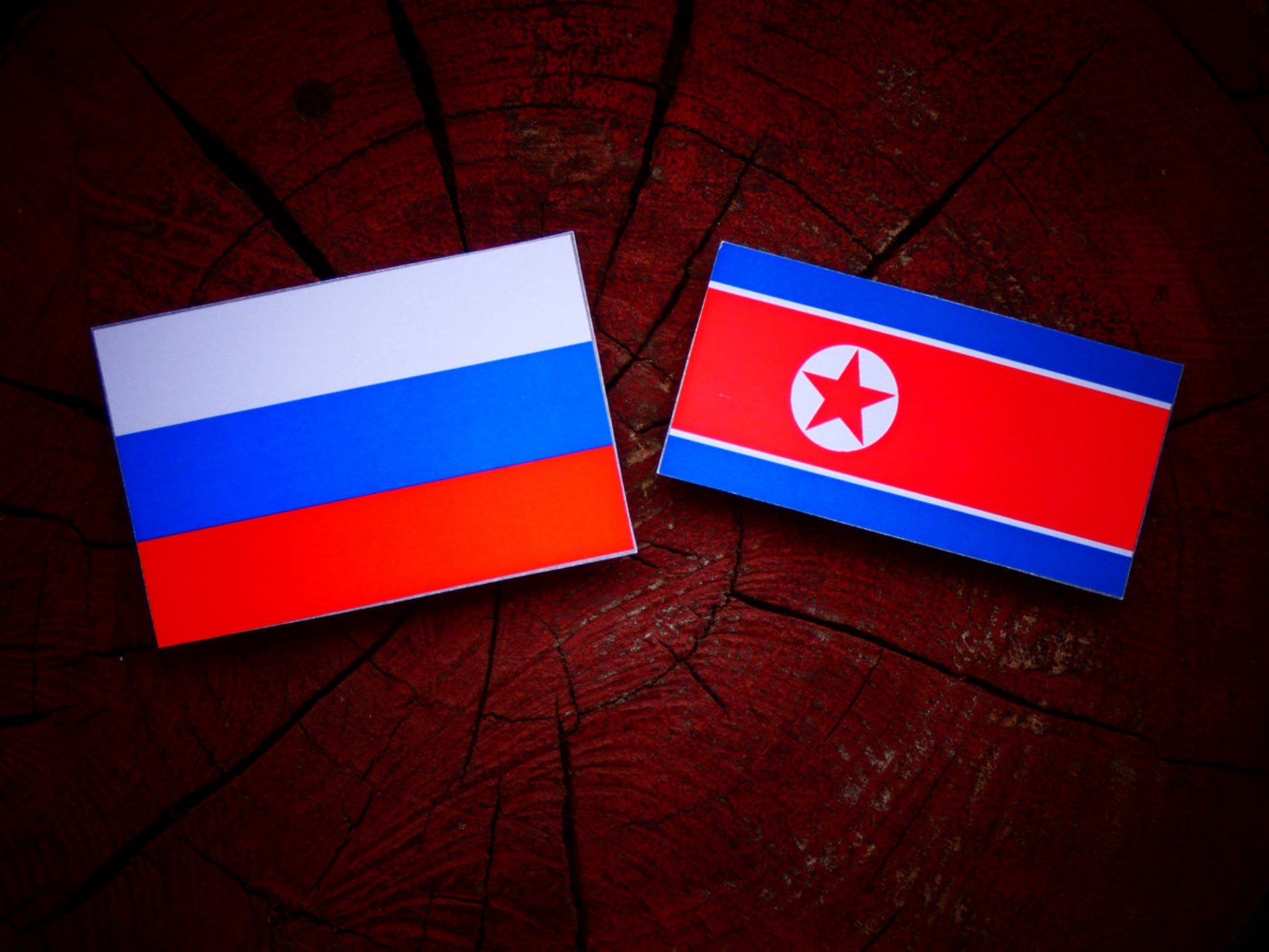 Для поездки в Северную Корею гражданам России требуется виза, которую оформляют через туристические агентства, аккредитованные МИД КНДР. shutterstock.com