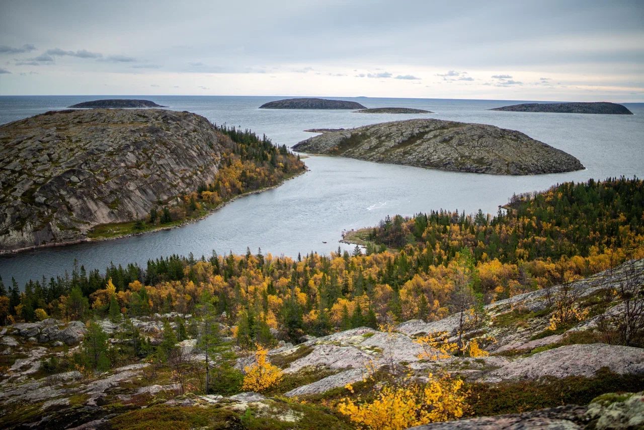 Белое море Архипелаг Кузова, Карелия.Источник фото: disk.yandex.ruАвтор фото: Медиабанк