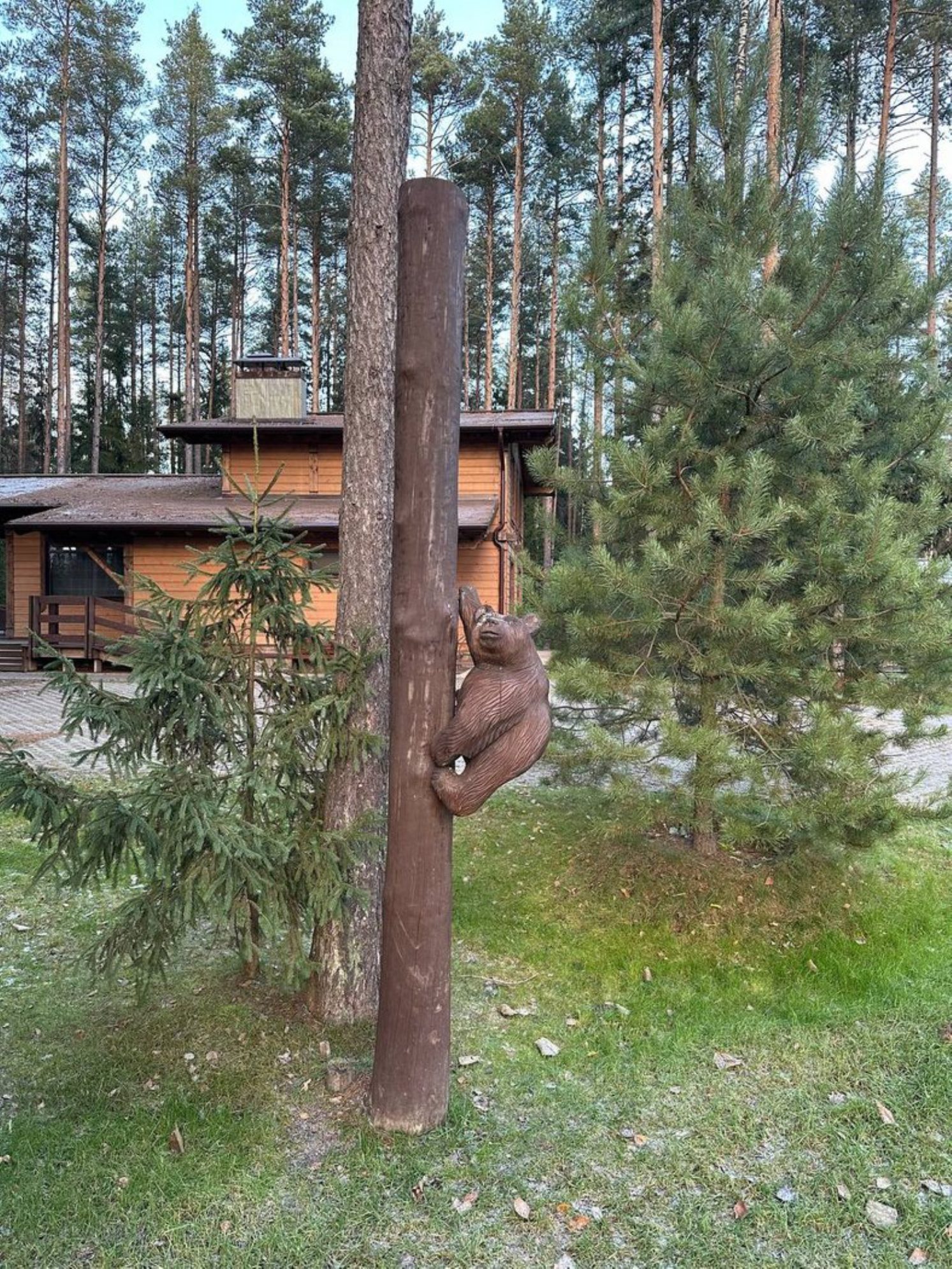 По всей территории Охта парка расположены домики. Автор фото: Анастасия Тронькова