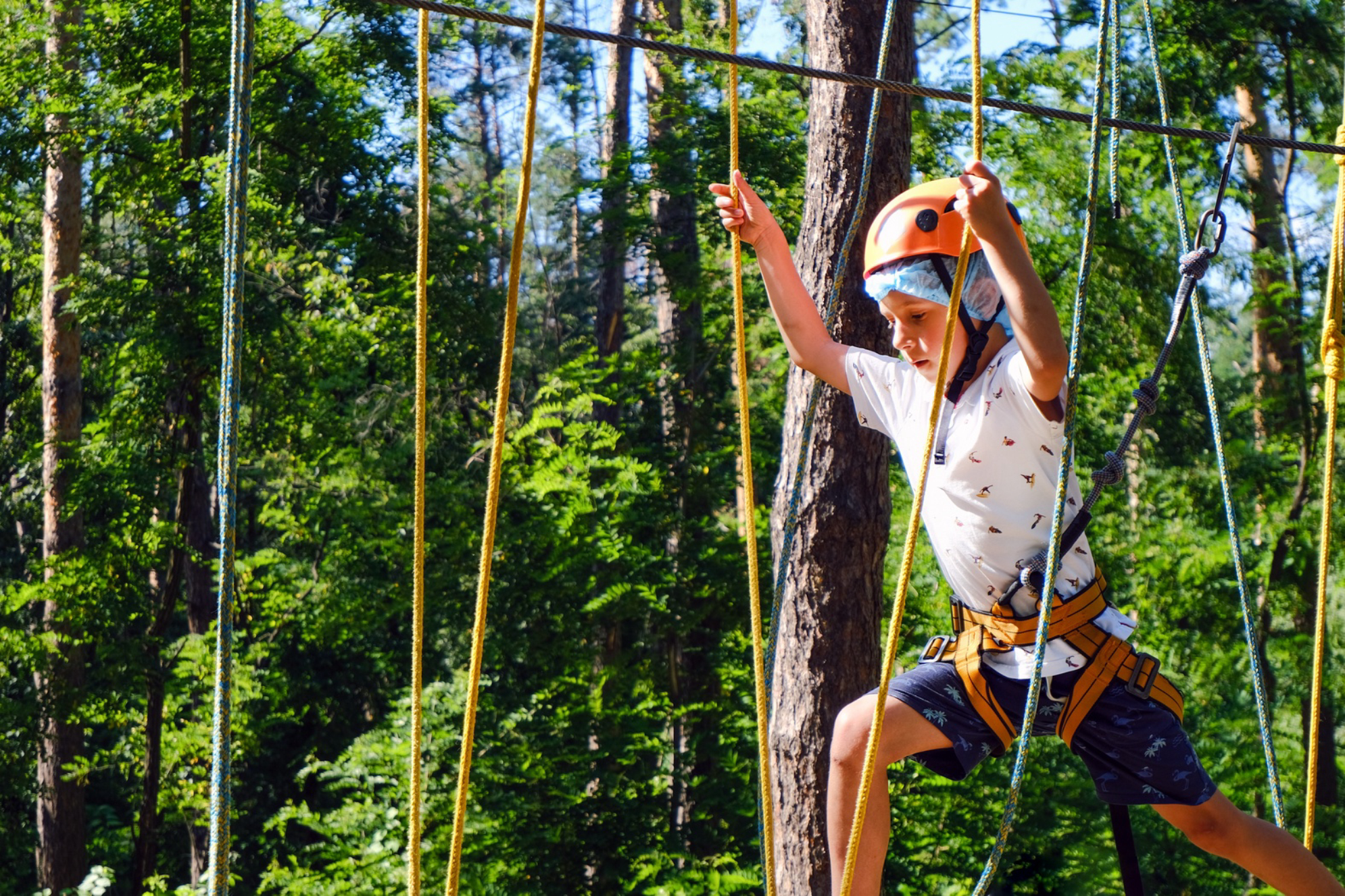 Веревочный парк.