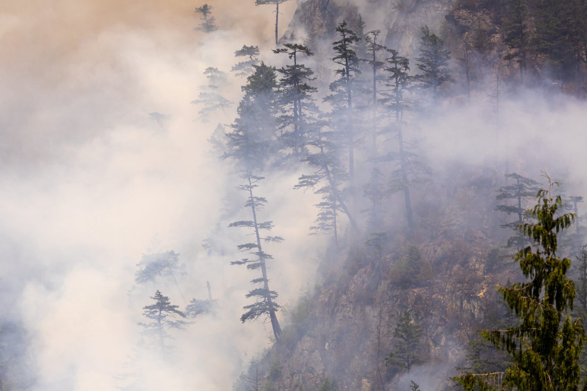 Любое разведение костров за пределами специально оборудованных площадок находится под строжайшим запретом. Источник: Shutterstock