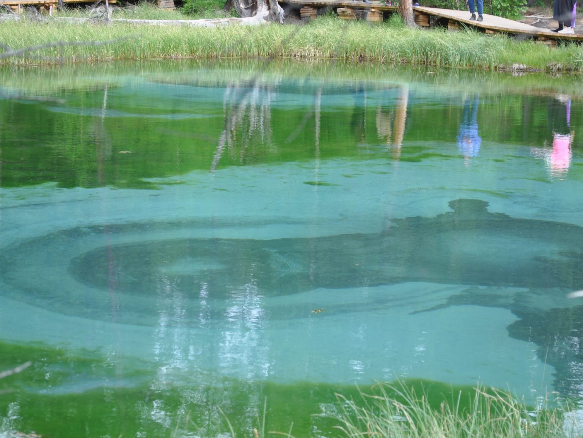 Гейзерное озеро. Автор фото: Ирина Жарикова