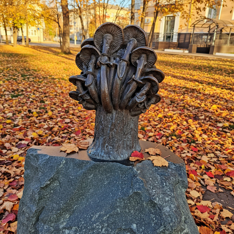 Поющие грибы с глазами, Рязань.