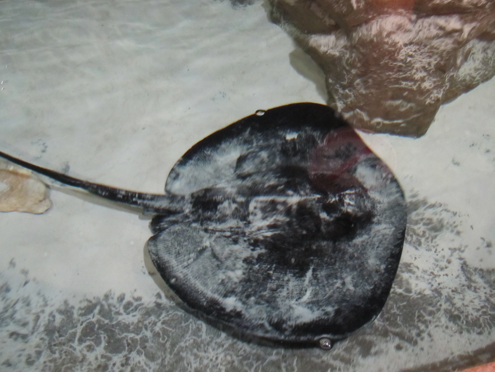 Подводный мир интересен и детям, и взрослым