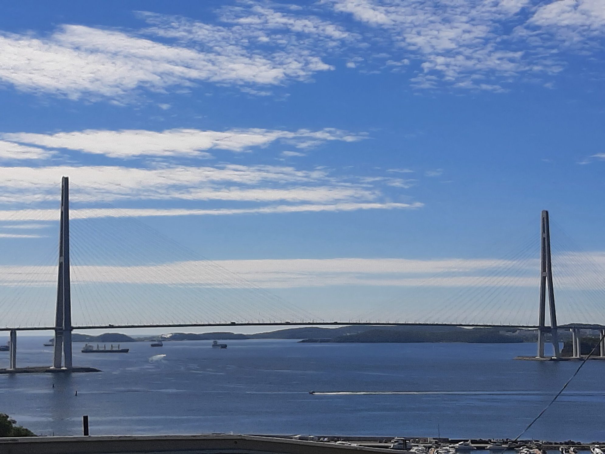 Русский мост. Автор фото: Ирина Жарикова