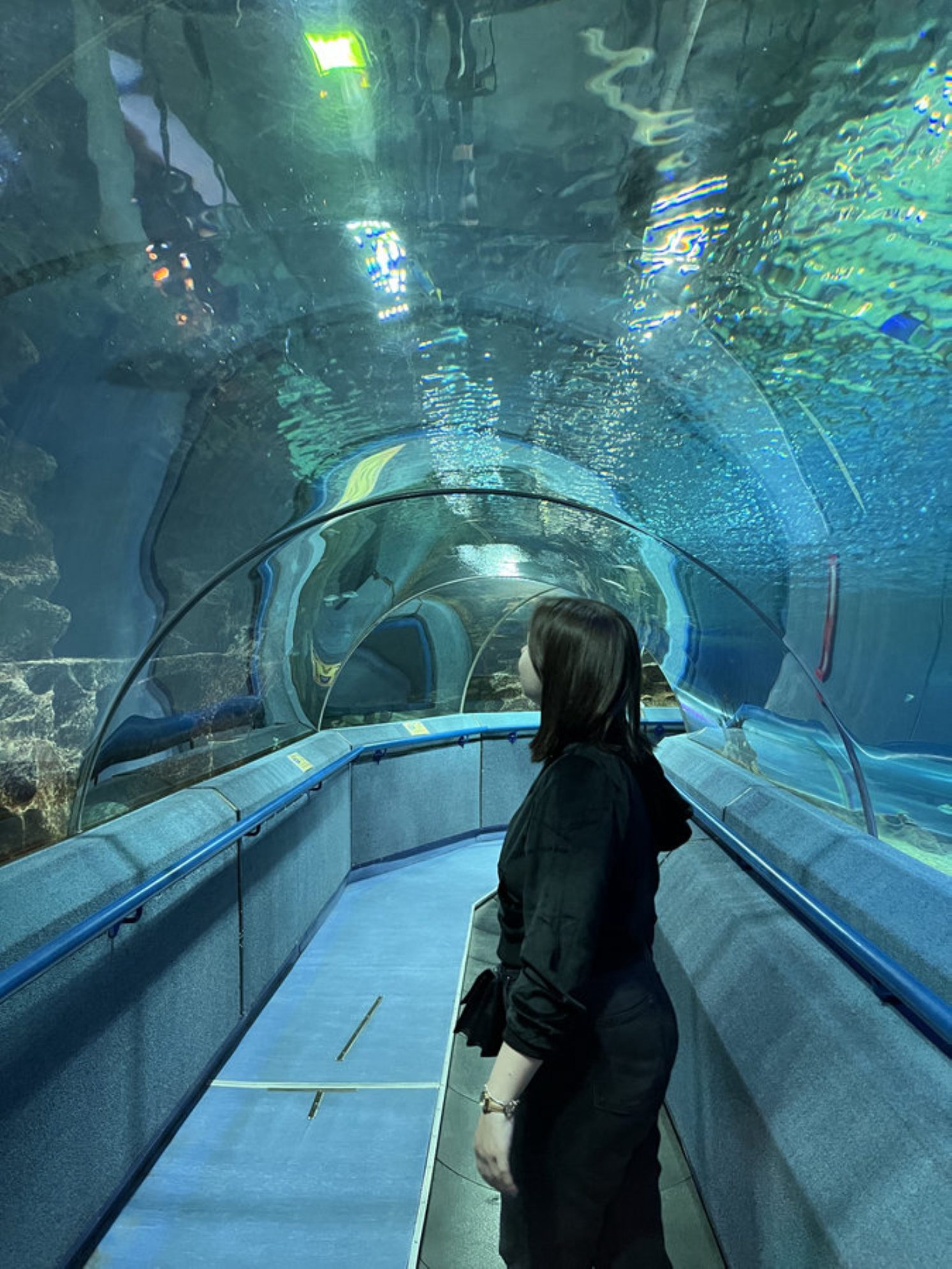 Главный аквариум. Автор фото: Маргарита Рейзес