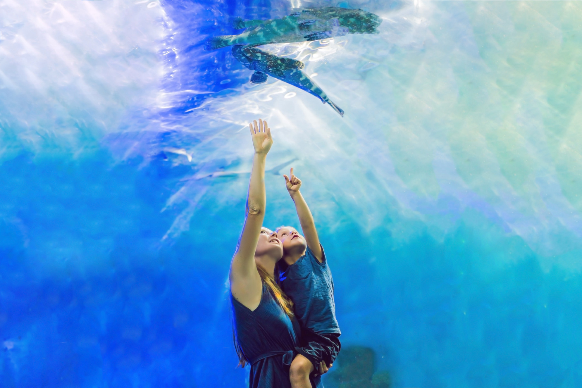 Мать и сын рассматривают рыбок в туннельном аквариуме Shutterstock