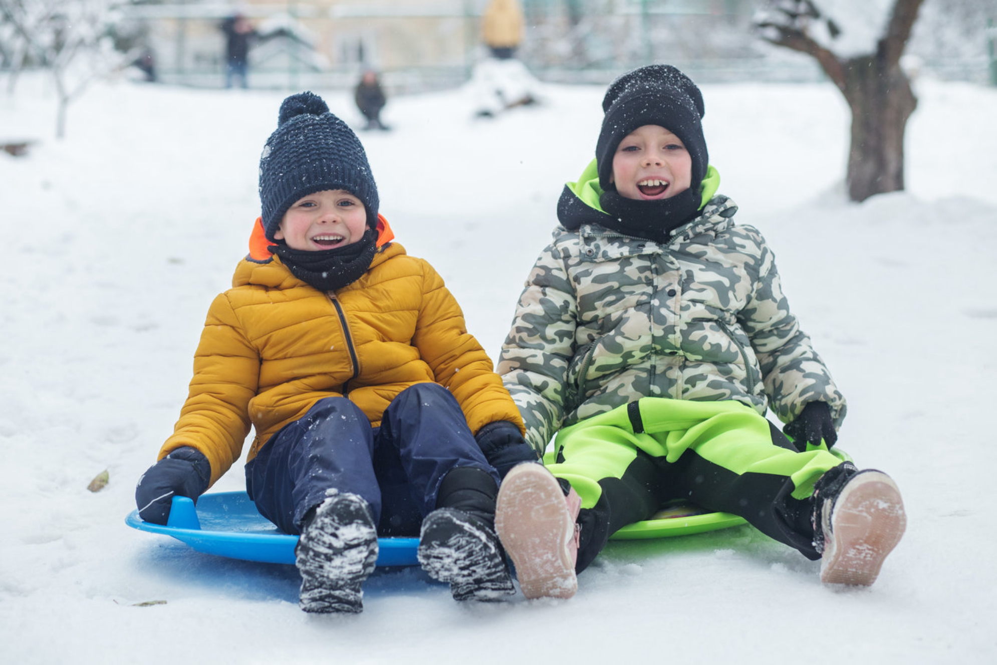 Зимние забавы. Источник: Shutterstock