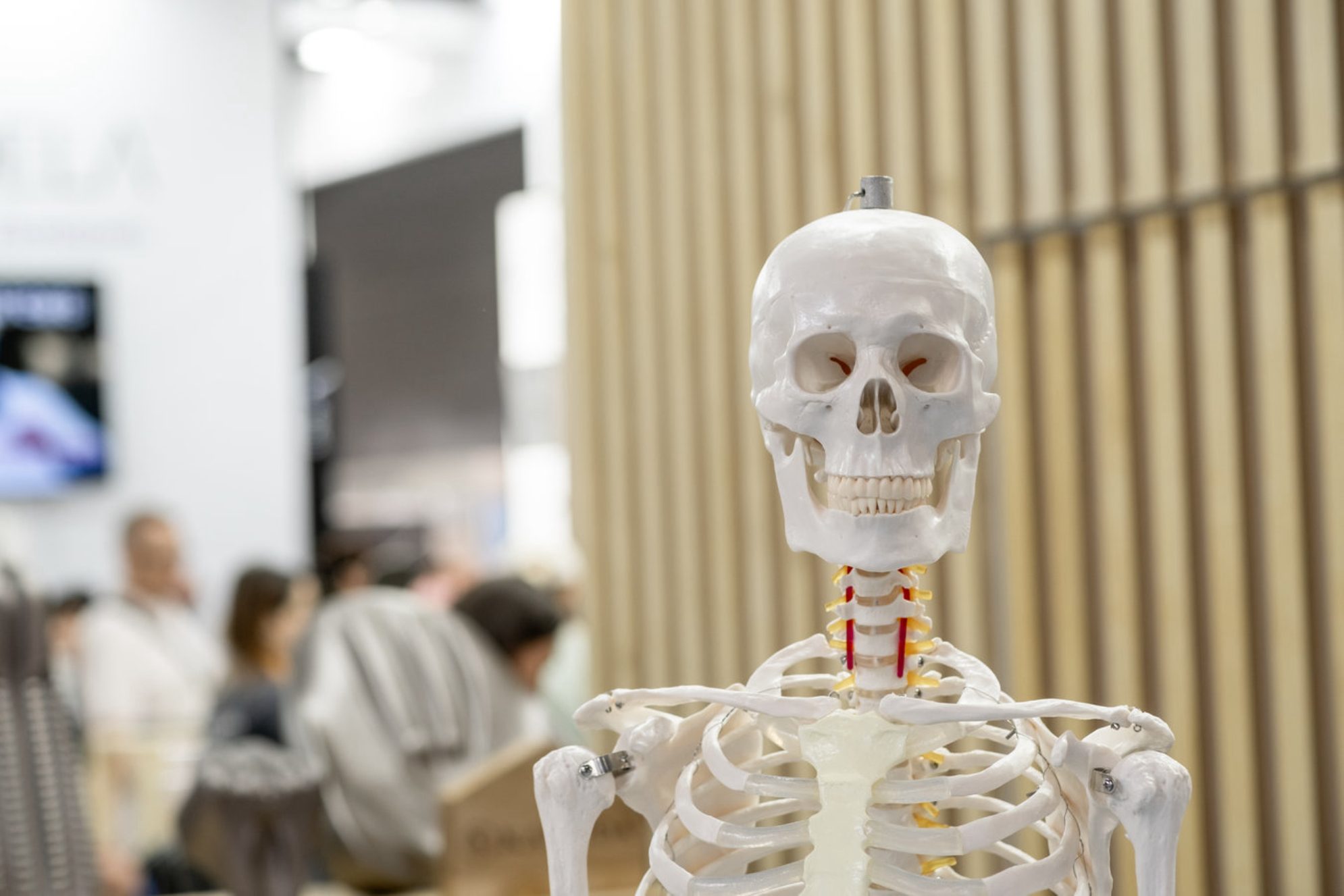 В рамках экскурсионной программы вы погрузитесь в увлекательный мир человеческого тела! Источник: Shutterstock.