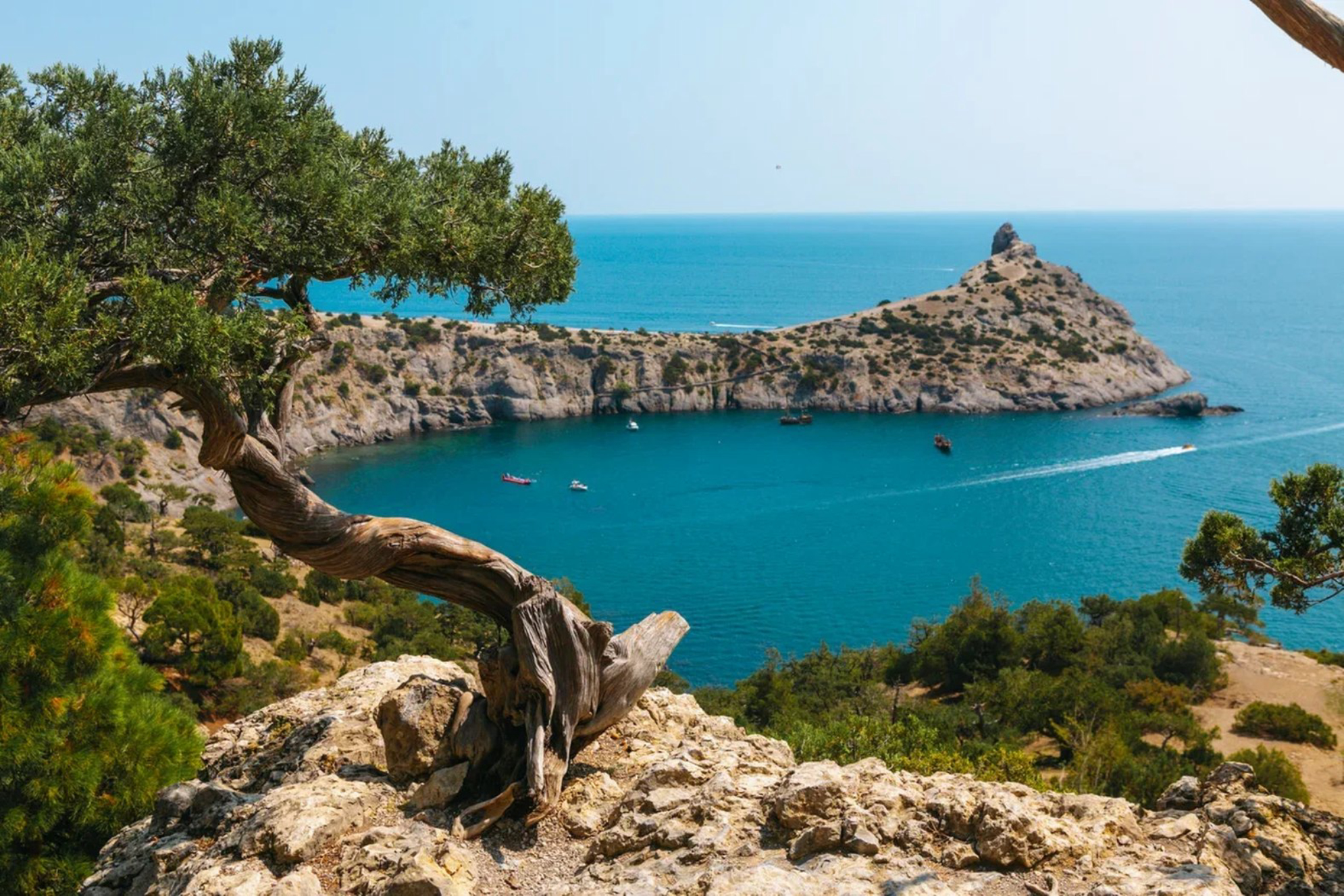 Природа Крыма завораживает… Желаем вам приятных впечатлений!