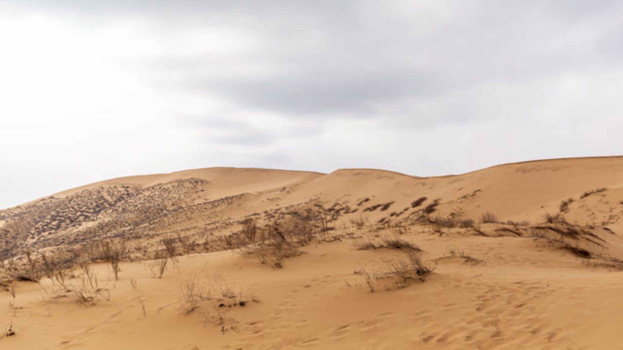 Дюны Сарыкума. shutterstock.com