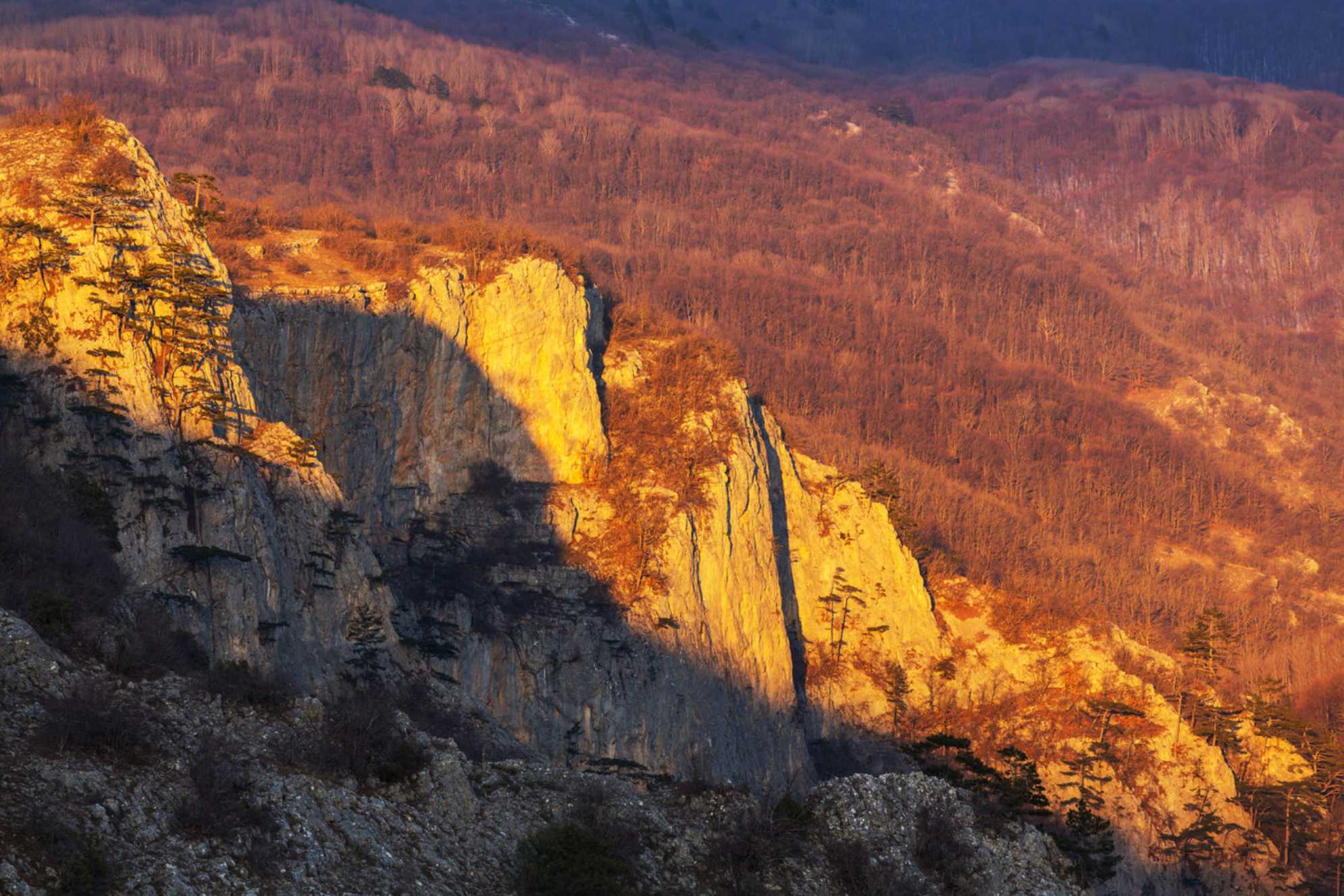 Идеально для опытных путешественников и тех, кто хочет испытать свои силы.Источник: Shutterstock