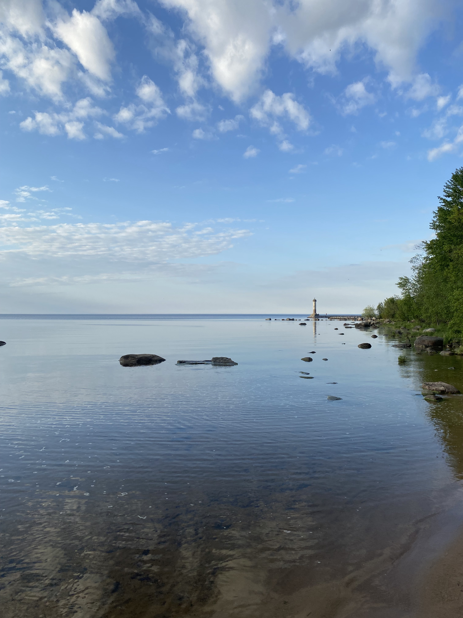 Ладожское озеро. Приозерск, Ленинградская область.Источник фото: Личный архивАвтор: Анастасия Тронькова