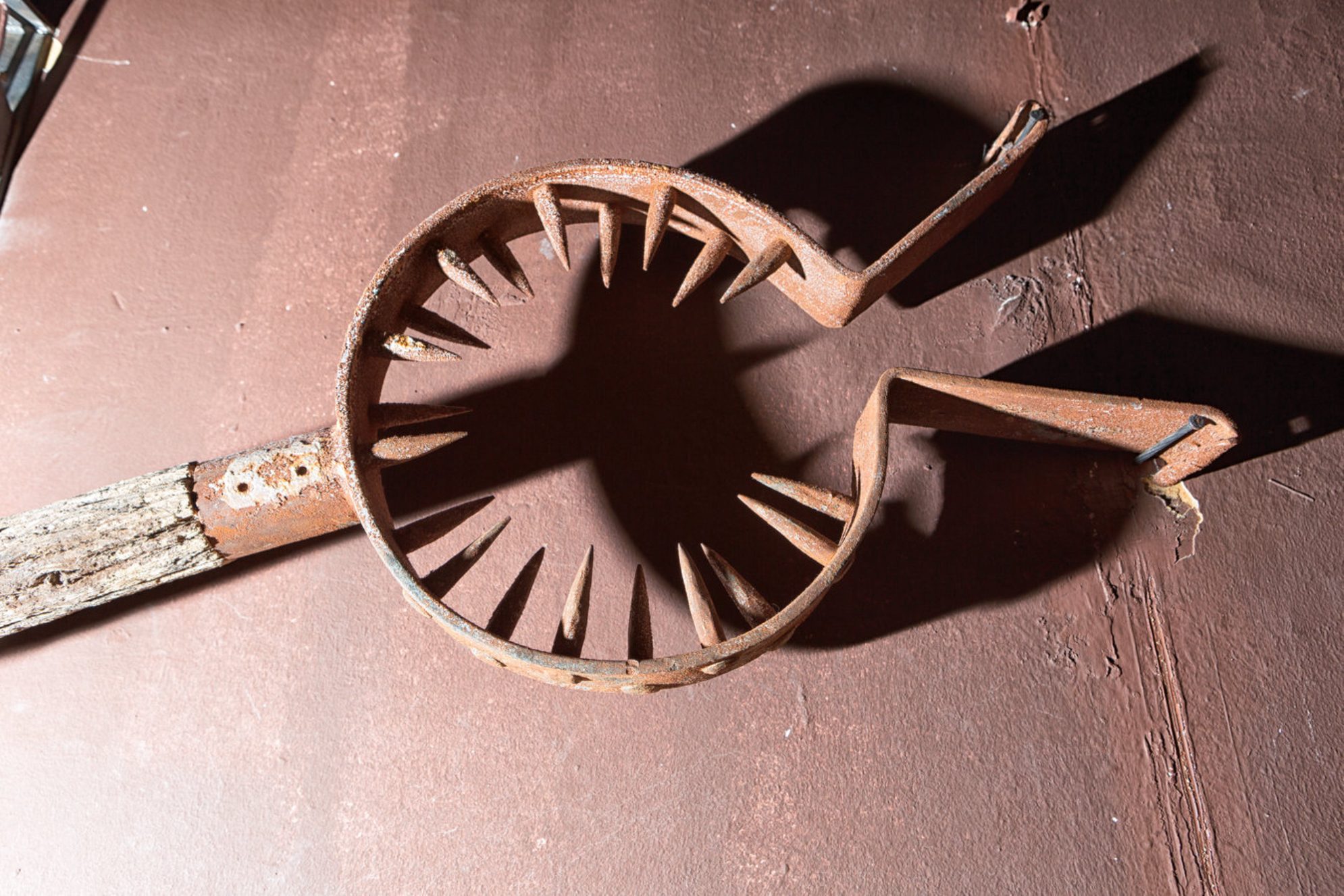 В том числе из-за пыток Средневековье ассоциируется с варварскими традициями Shutterstock