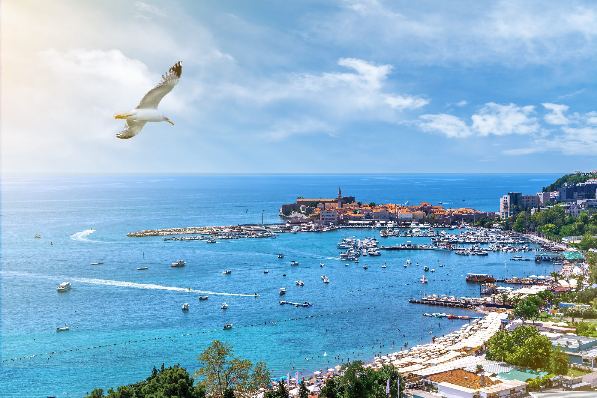 Панорамный вид на Будву - старый город, пристань для яхт, бирюзовое Адриатическое море, Черногория. Источник: Shutterstock