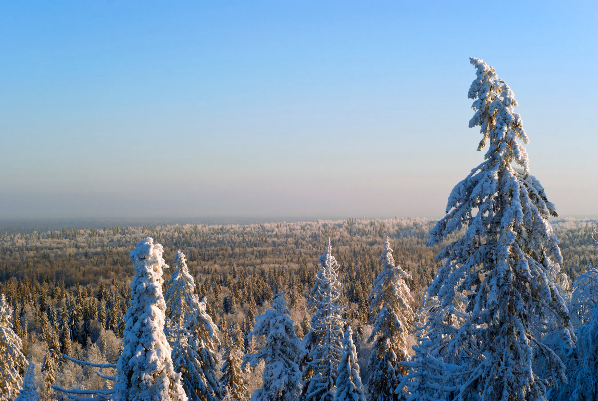 Отдых зимой в Кисловодске: погода, куда сходить, что посмотреть, цены