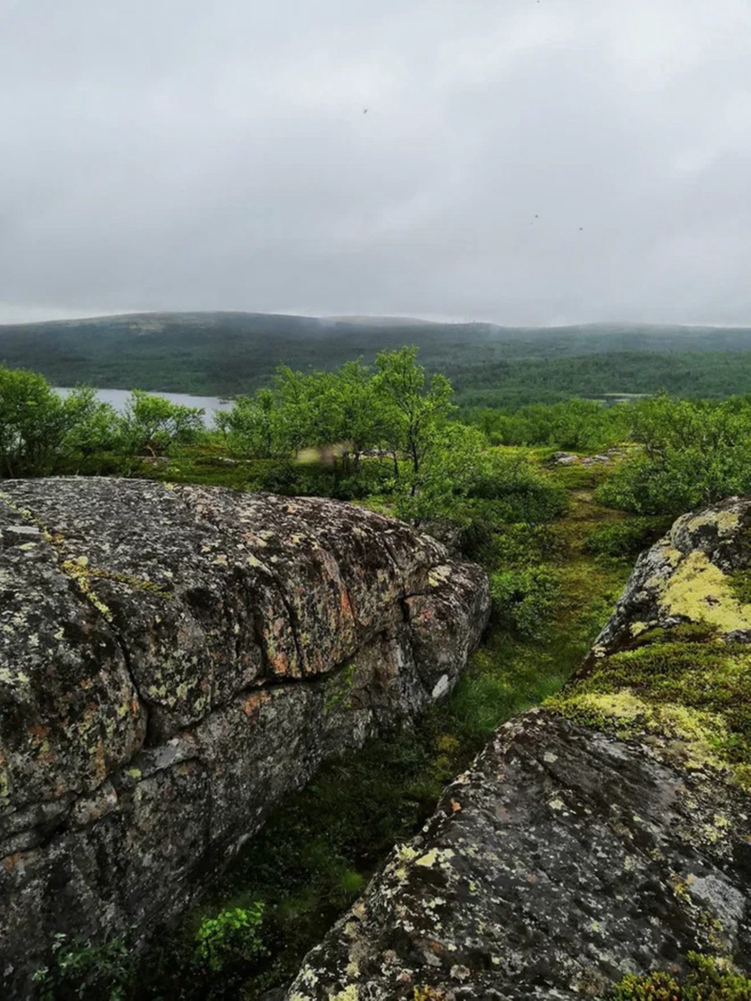 Другой ракурс на место остановки. Автор фото: Андрей Афанасьев