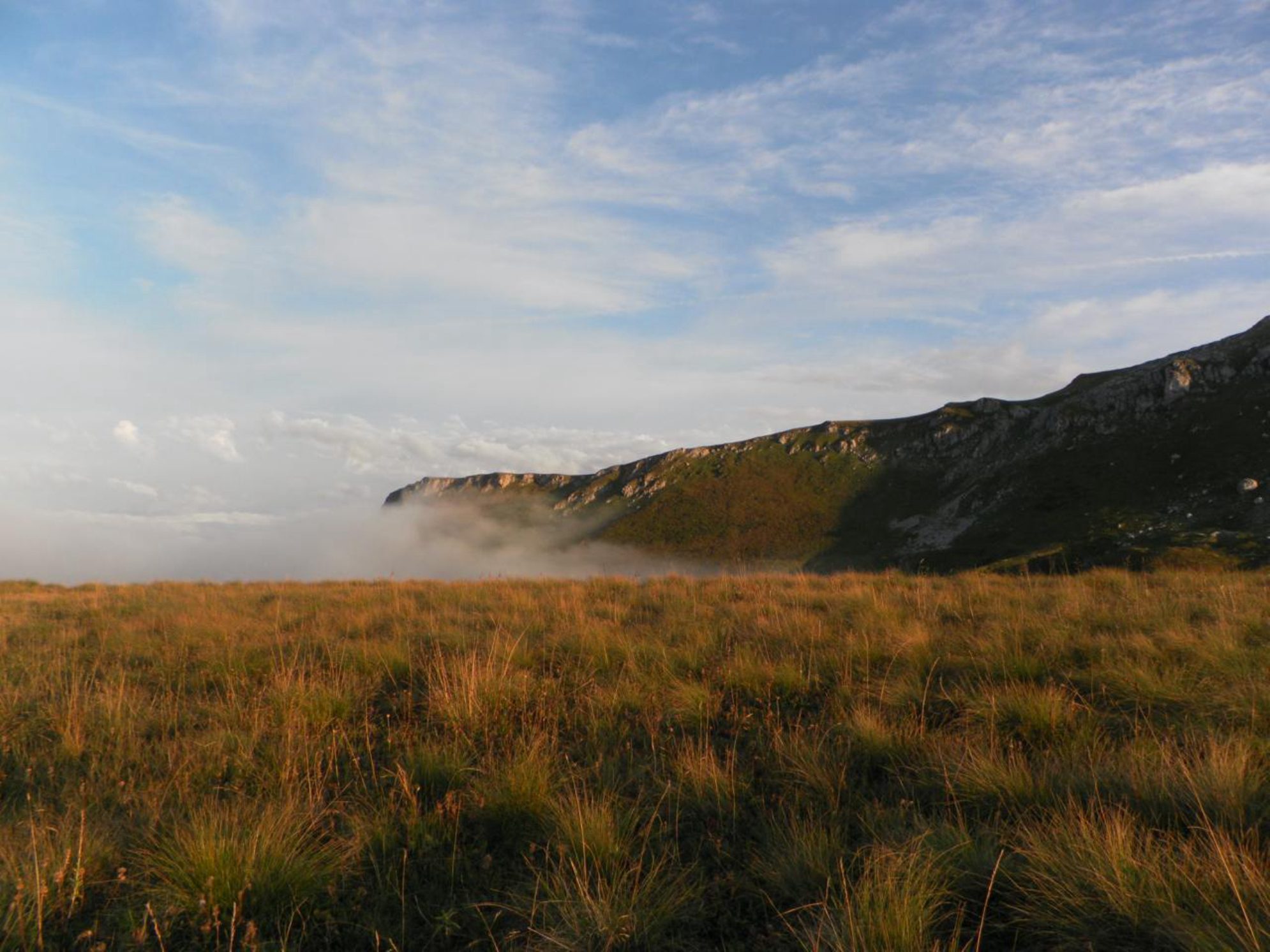 Если вы оказались в Республике Адыгея, посетите плато Лаго-Наки. Автор фото: Марина Тихомирова