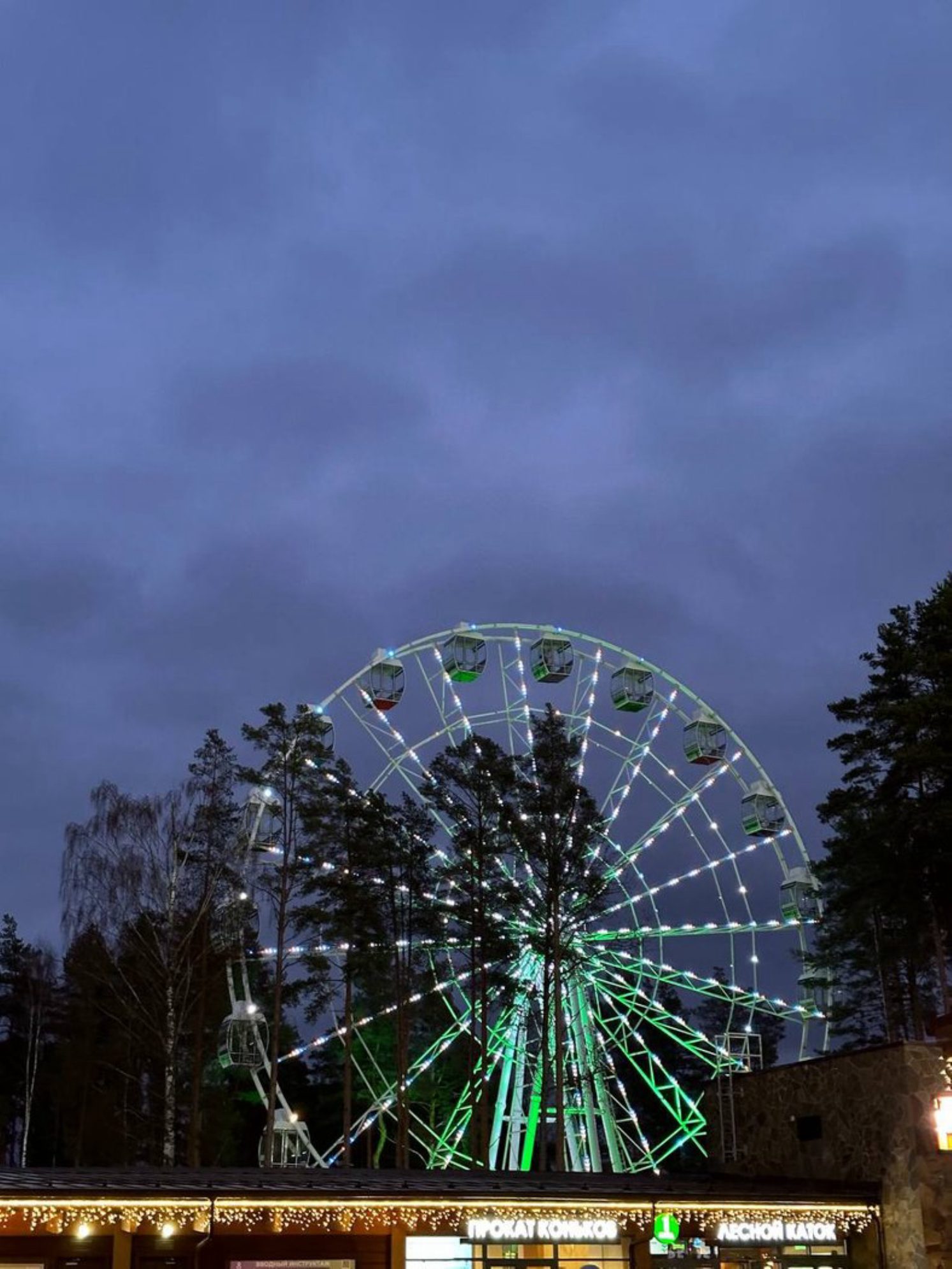 Колесо обозрения в Охта парке. Автор фото: Анастасия Тронькова