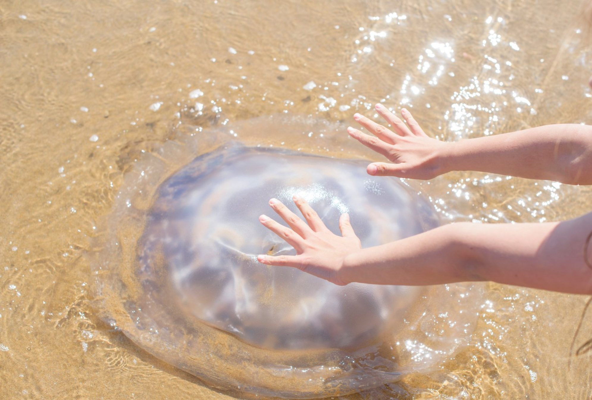 При любой подозрительной реакции обратитесь к врачу. Источник фото: elements.envato.com