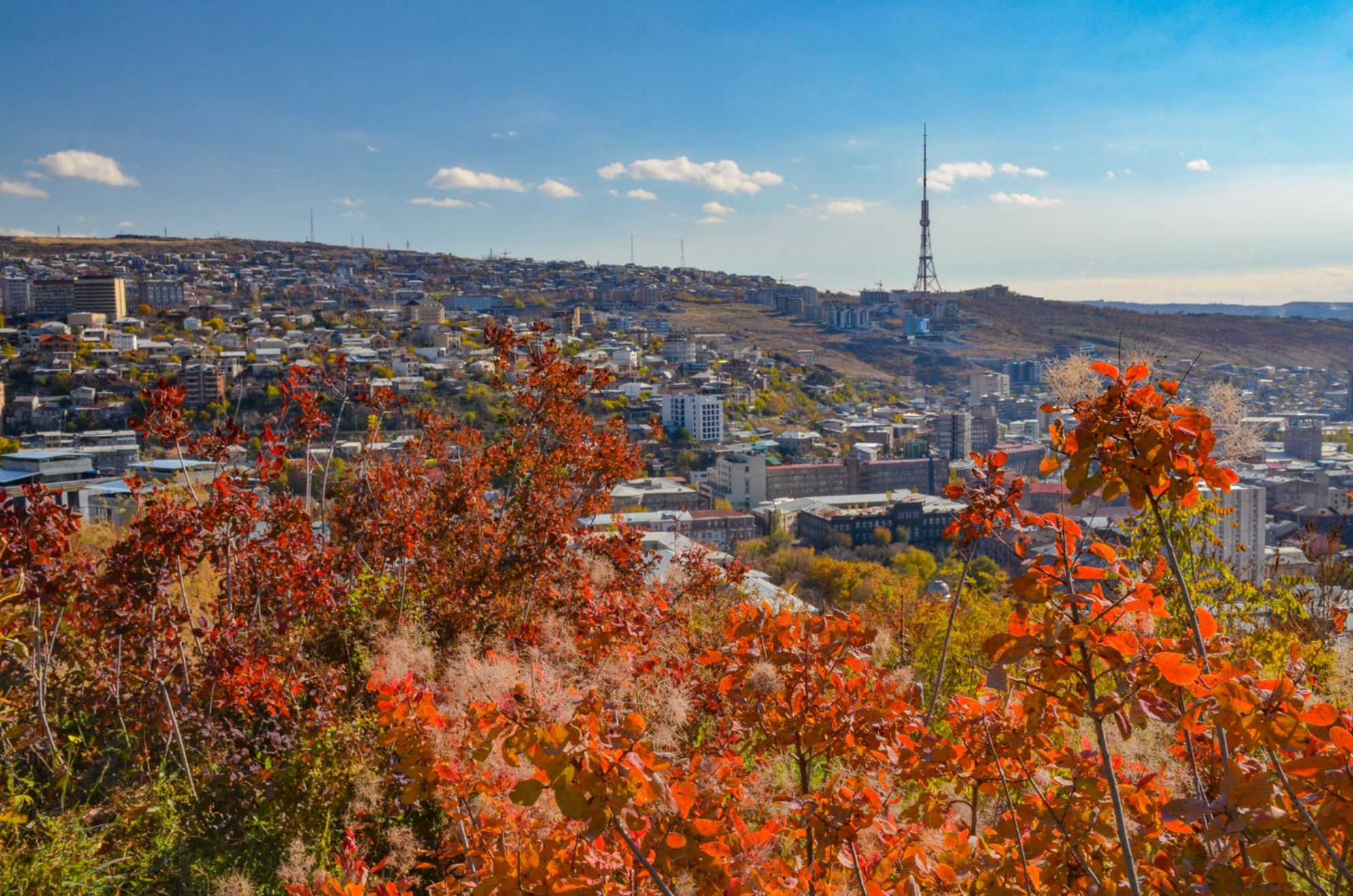 Осенний Ереван. shutterstock.com