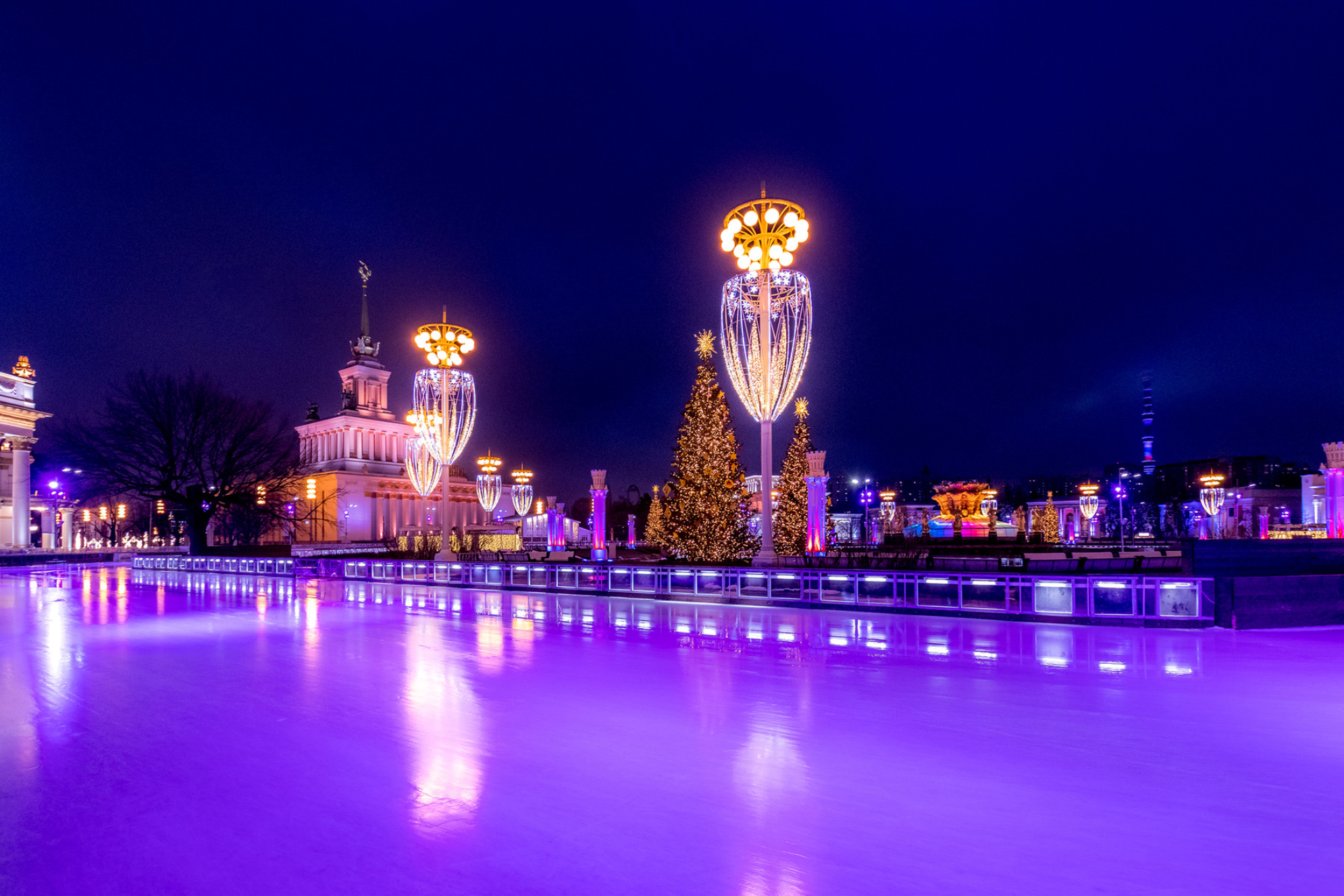 Каток на ВДНХ. Источник: Shutterstock