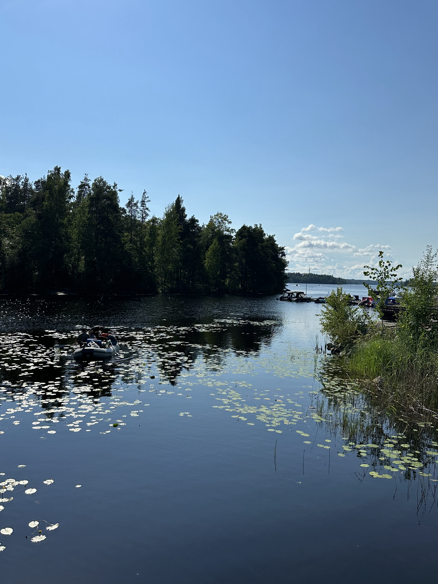 Река Вуокса. Приозерск, Ленинградская область.Источник фото: Личный архивАвтор: Анастасия Тронькова