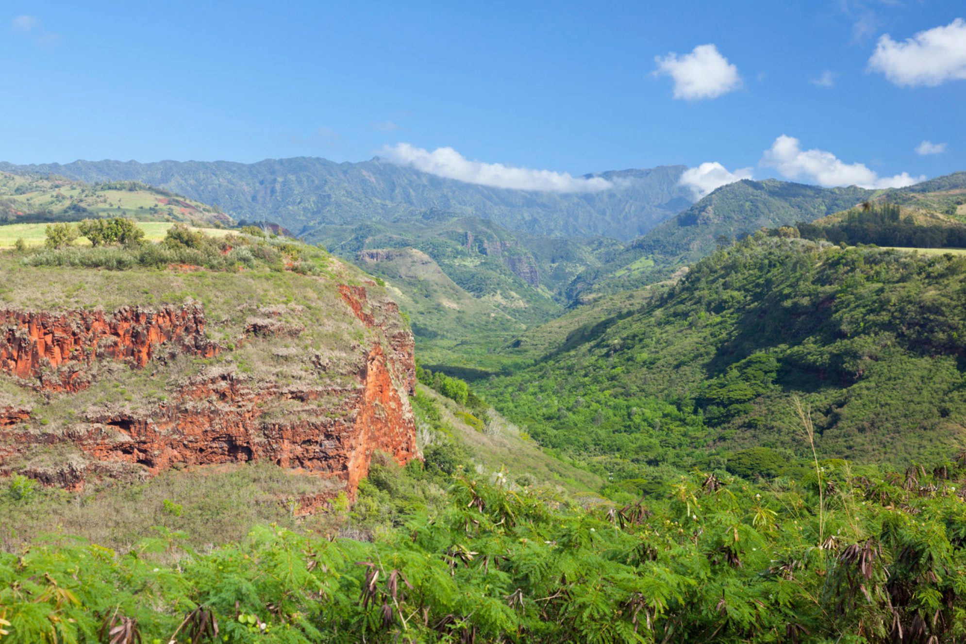 Долина Ханапепе переносит туристов в фильмы про динозавров. Источник: Shutterstock
