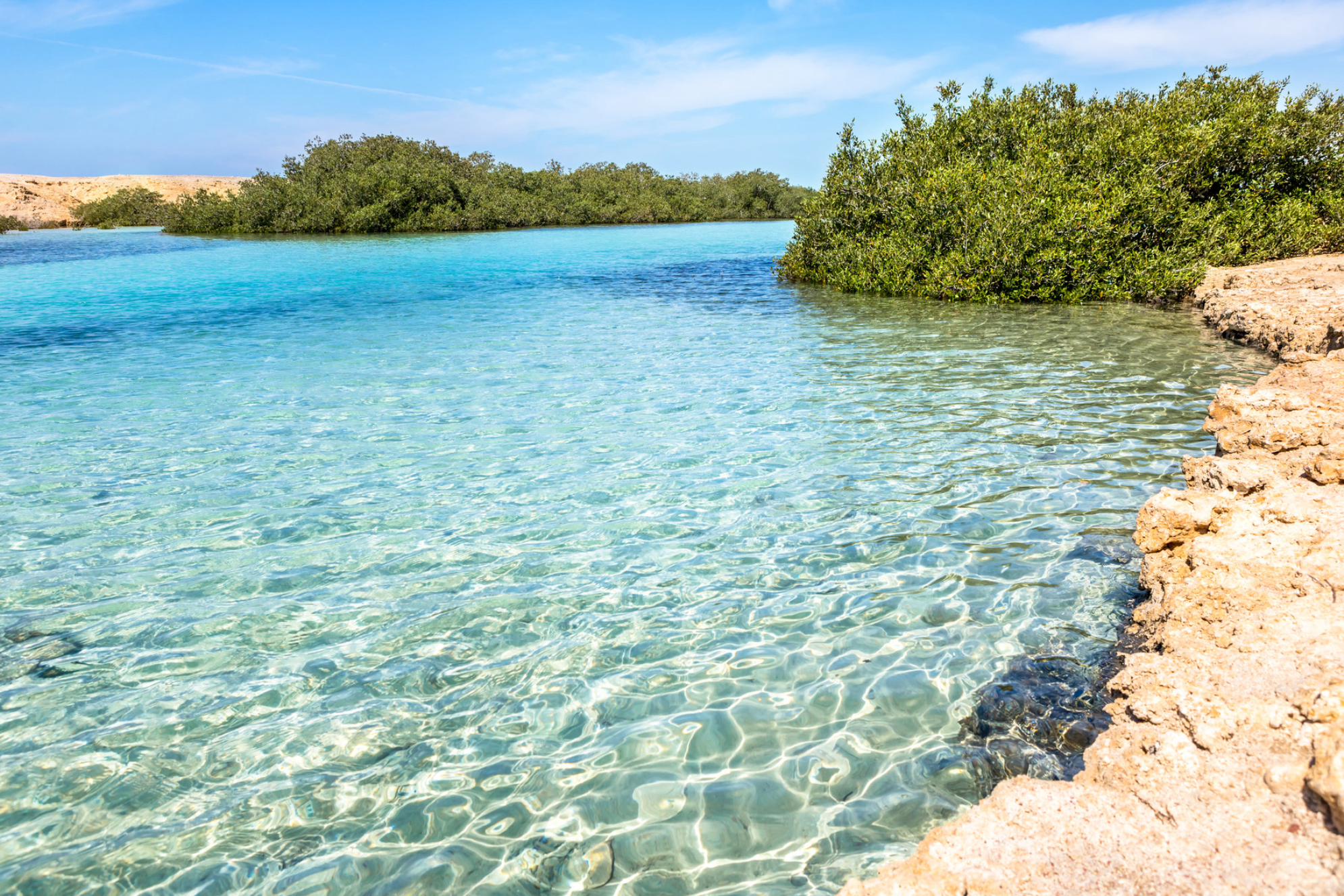 Чистейшая прозрачная вода в парке Рас-Мохаммед. Источник: Shutterstock