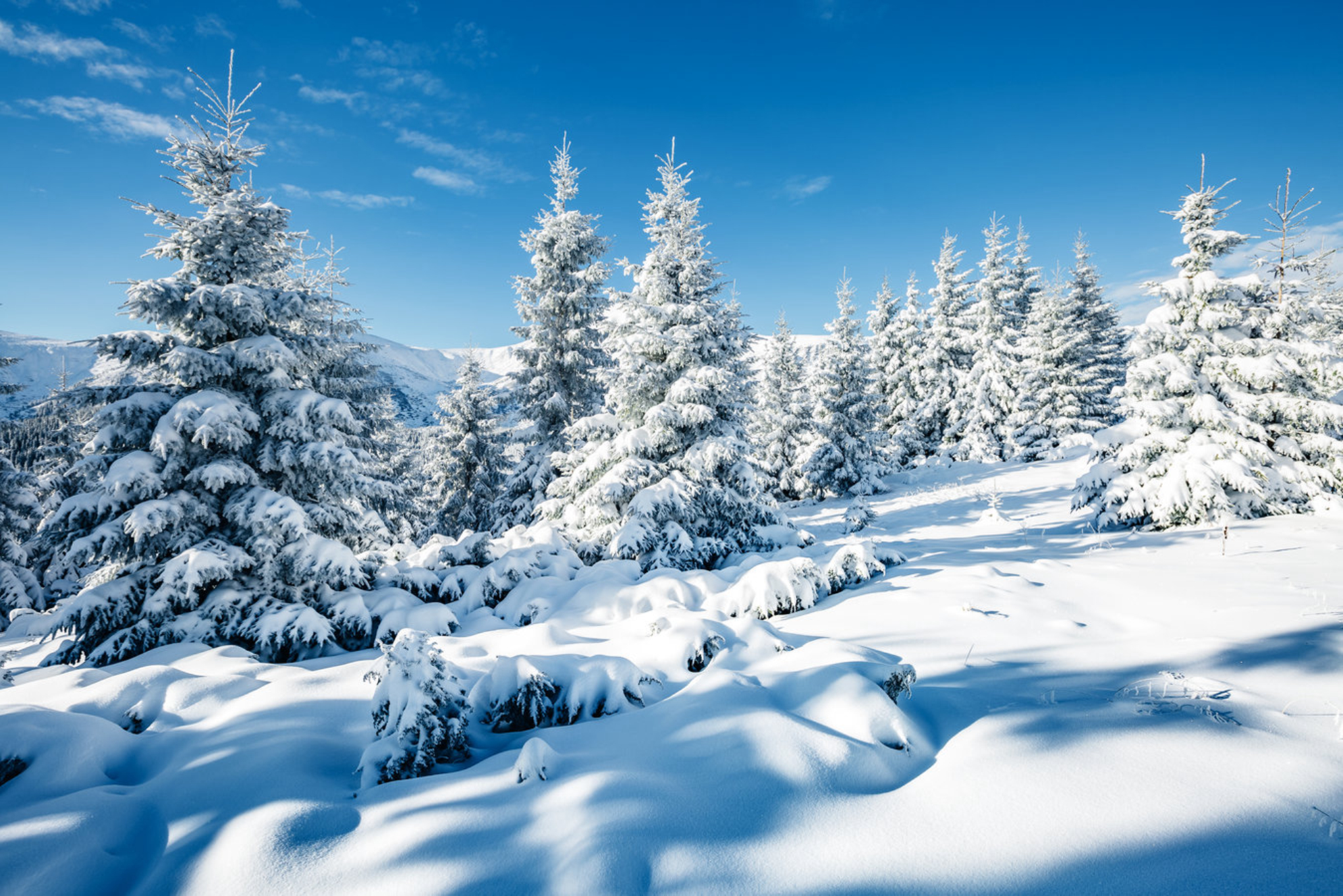 Какая будет зима в России в 2026 году - прогноз погоды по регионам и по месяцам