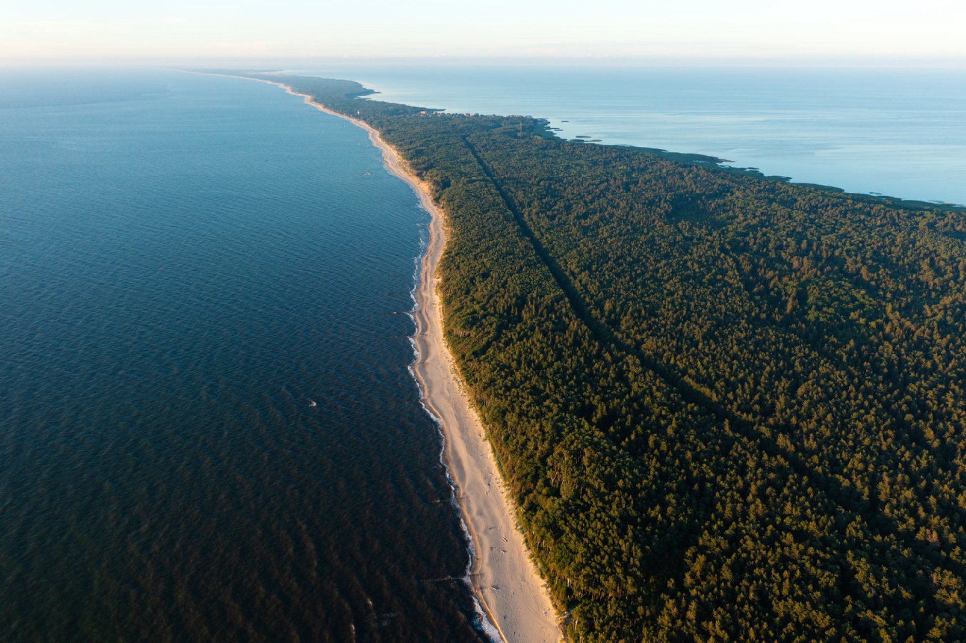 Куршская коса является объектом всемирного наследия ЮНЕСКО. shutterstock.com