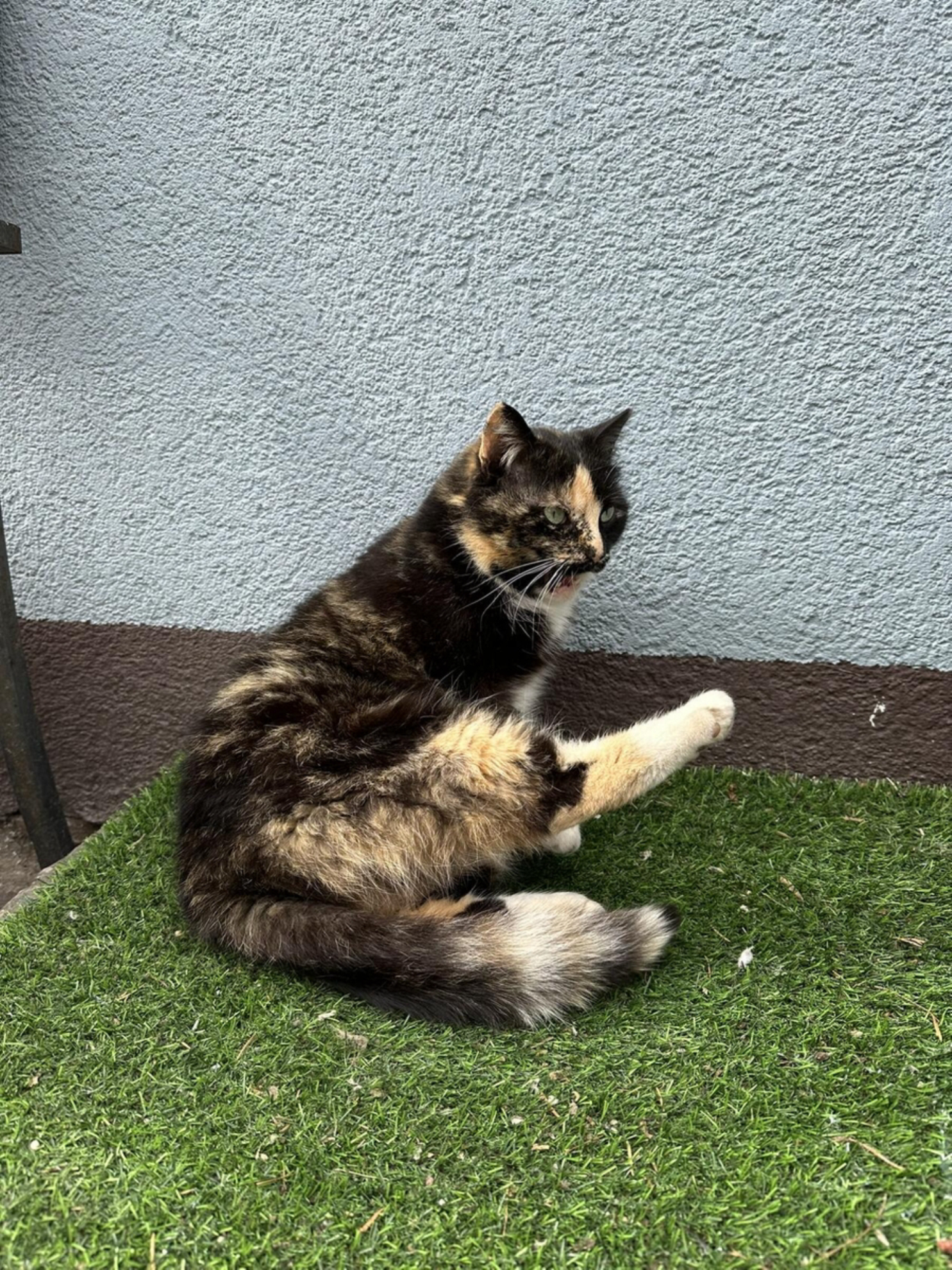 Зеленоградск.Источник фото: личный архив.Автор фото: Тронькова Анастасия