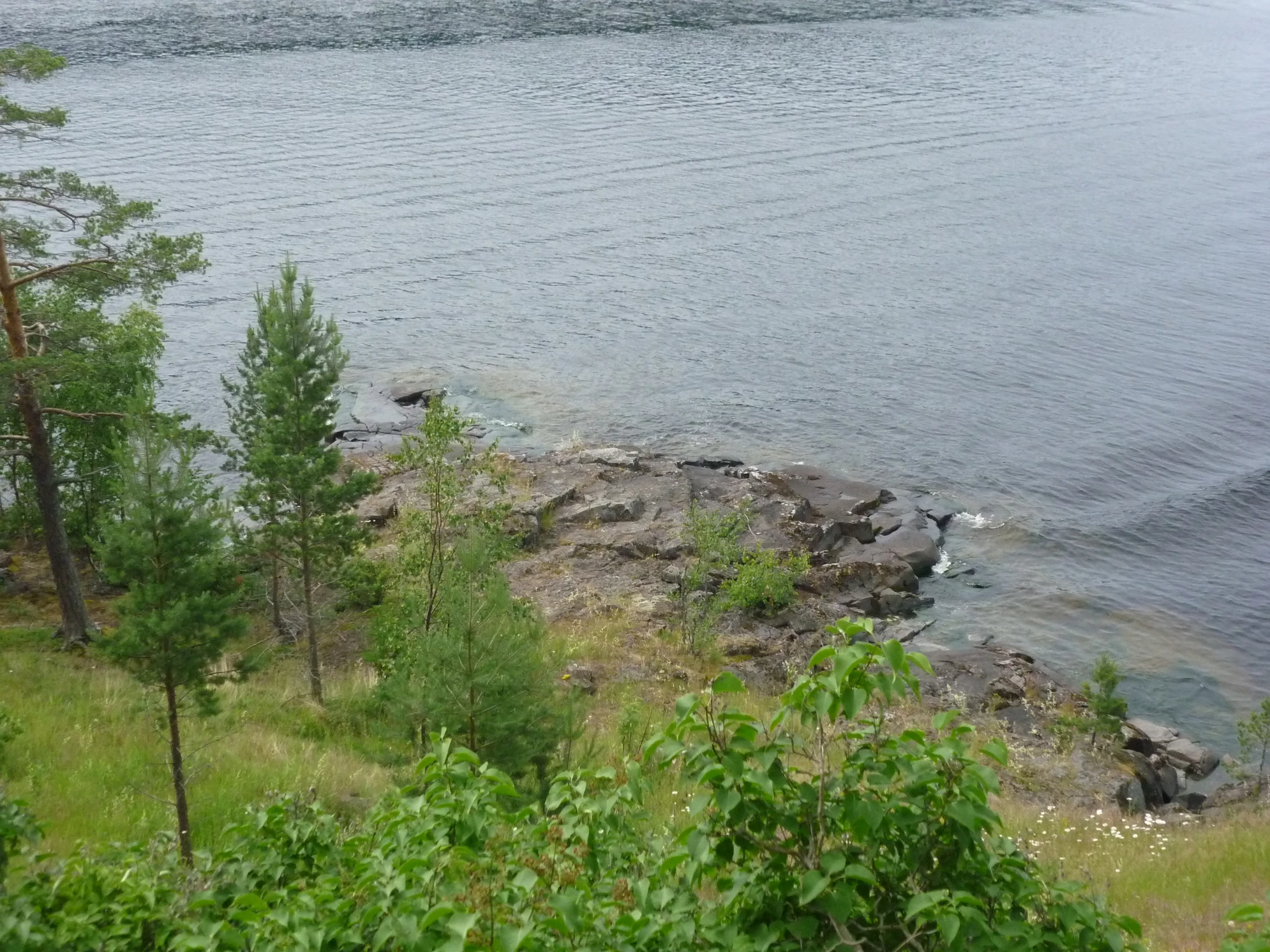 Природа Валаама - это сочетание суровых ладожских скал, густых хвойных лесов и рукотворных садов.