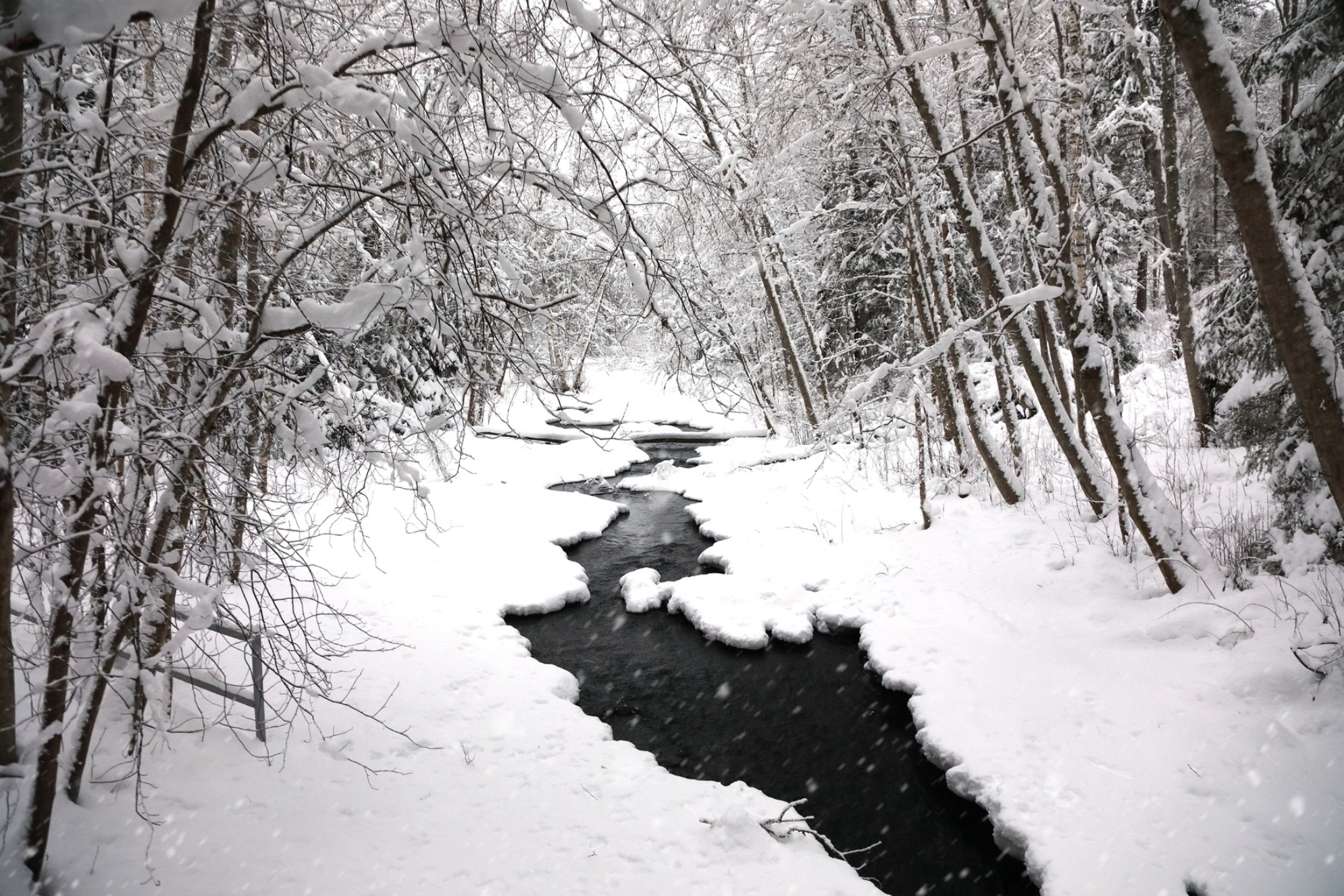 Зимний пейзаж во время снегопада в Карелии. Источник: Shutterstock