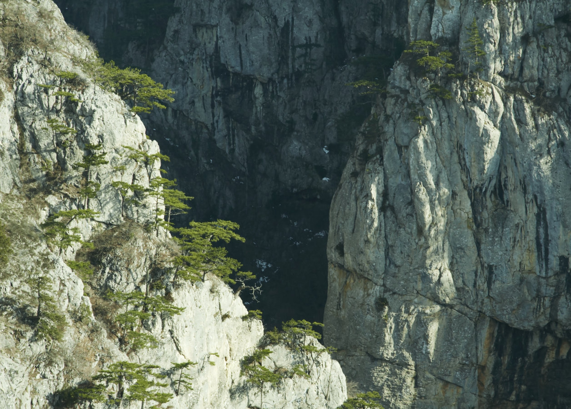 Лучше заранее уточнить стоимость у администрации заповедника или гида. Правила могут меняться, особенно в высокий сезонИсточник: Shutterstock