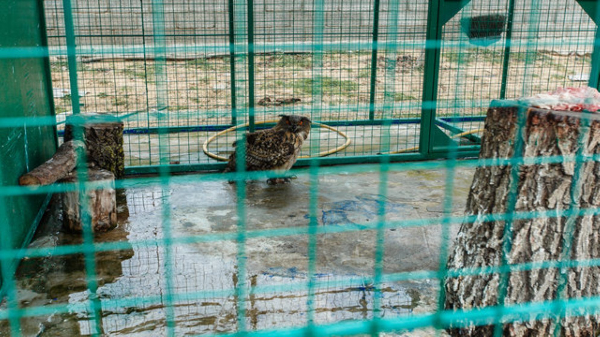 На входе в Сарыкумские дюны находится мини-зоопарк. shutterstock.com