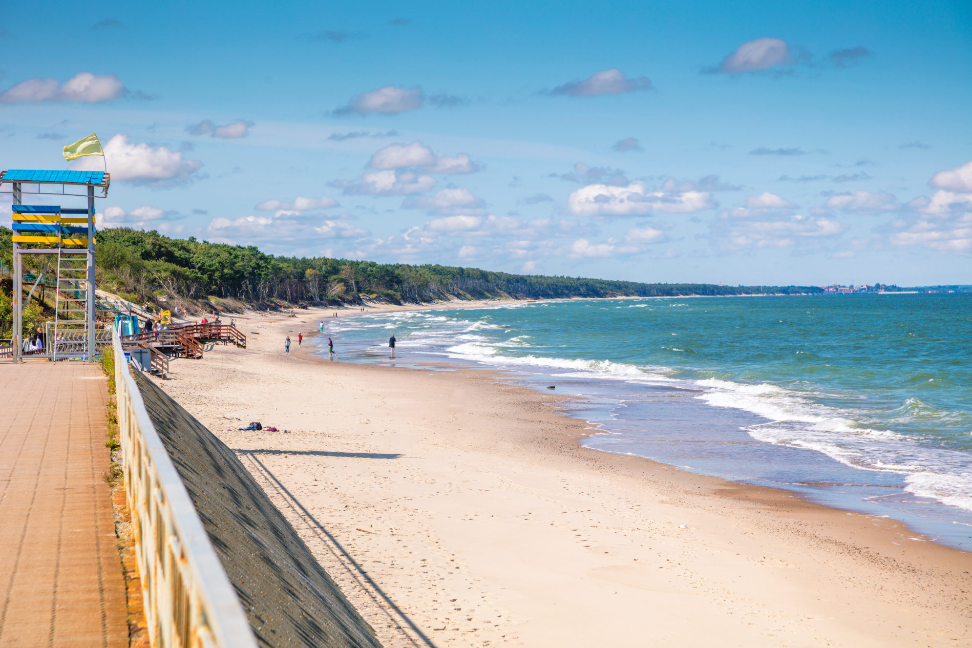 Пляж в национальном парке «Куршская коса», Калининградская область. Источник: Shutterstock