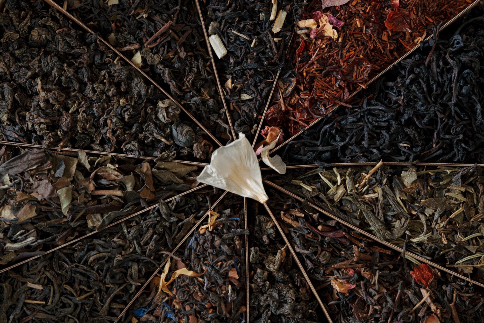 Коллекция из разных видов чая.