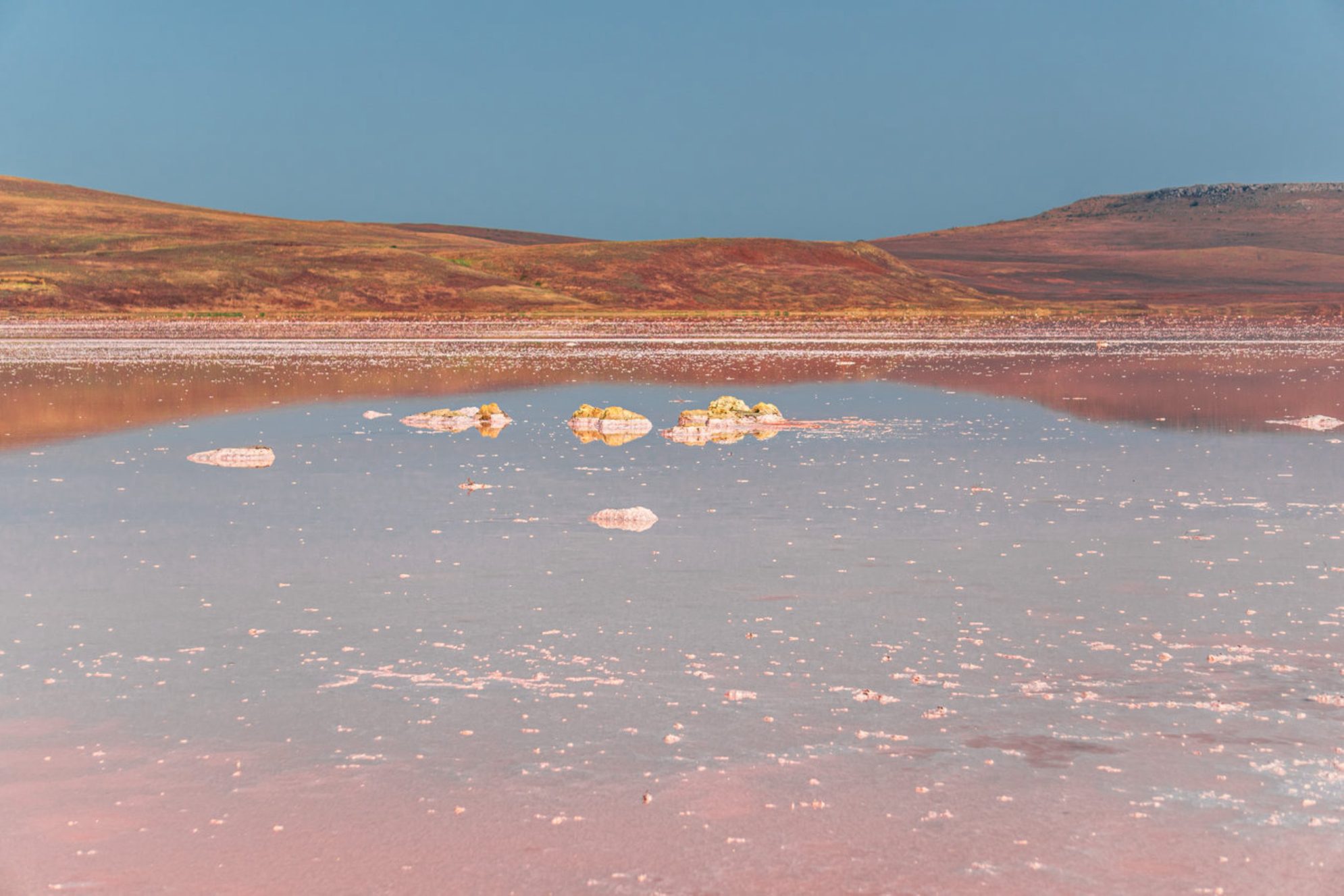 Соль и грязь озера целебные. Источник фото: Shutterstock