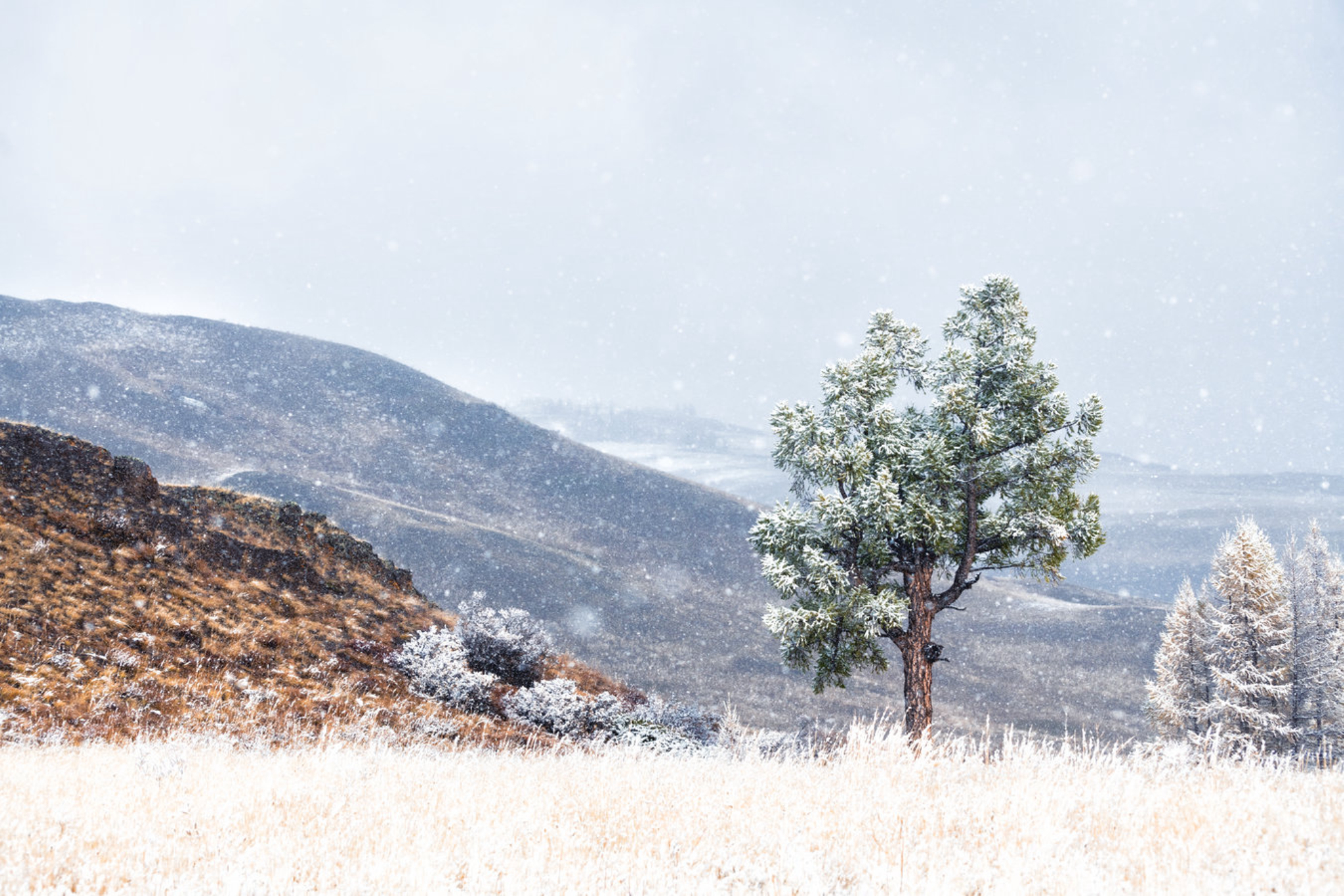 Зима 2025-2026 в Красноярске: прогноз погоды на зимний период, полезные советы для жителей и туристов