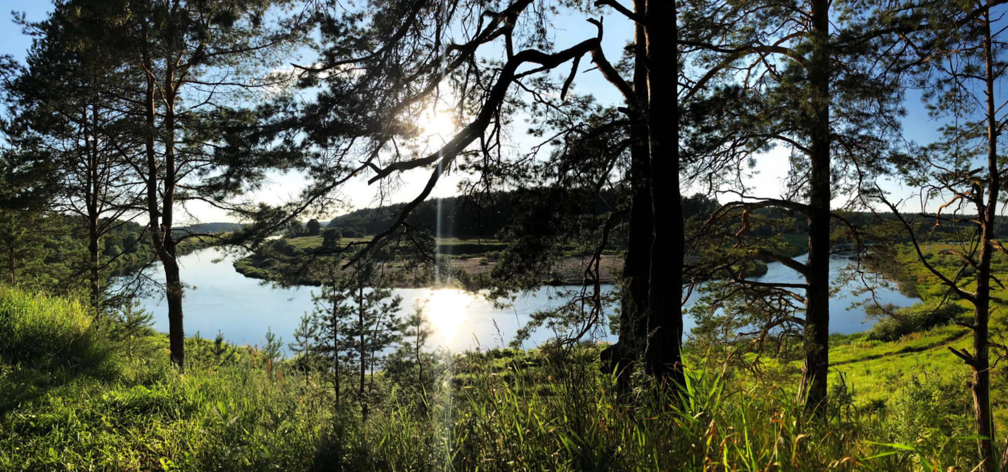 Панорамный снимок парка Угра, Калужская область. shutterstock.com