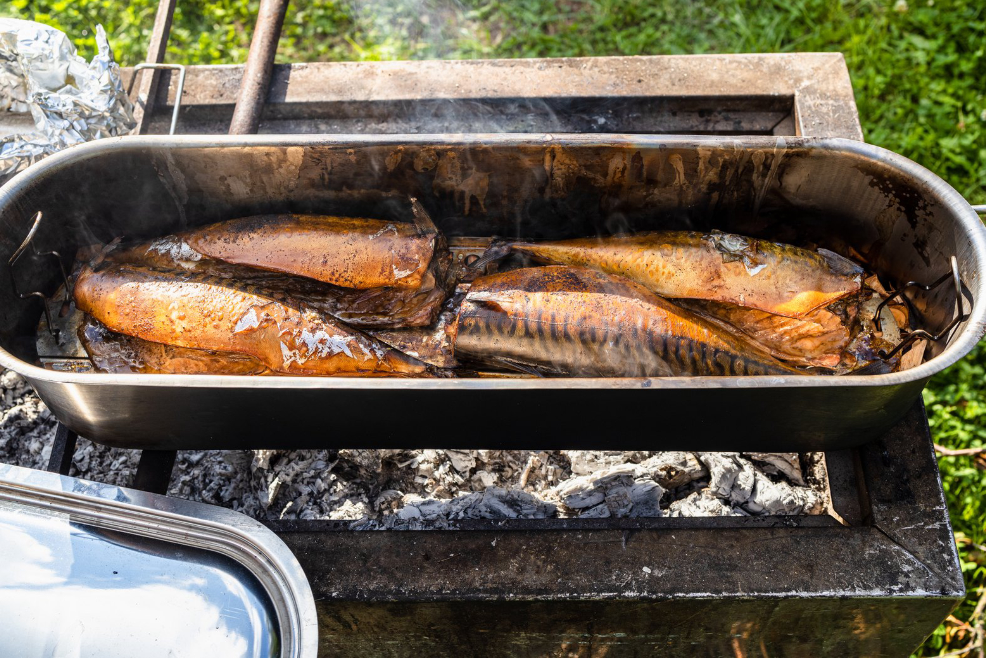 Копченая рыба в вакуумной упаковке - вариант брутального сувенира из Крыма. Источник: Envato Elements